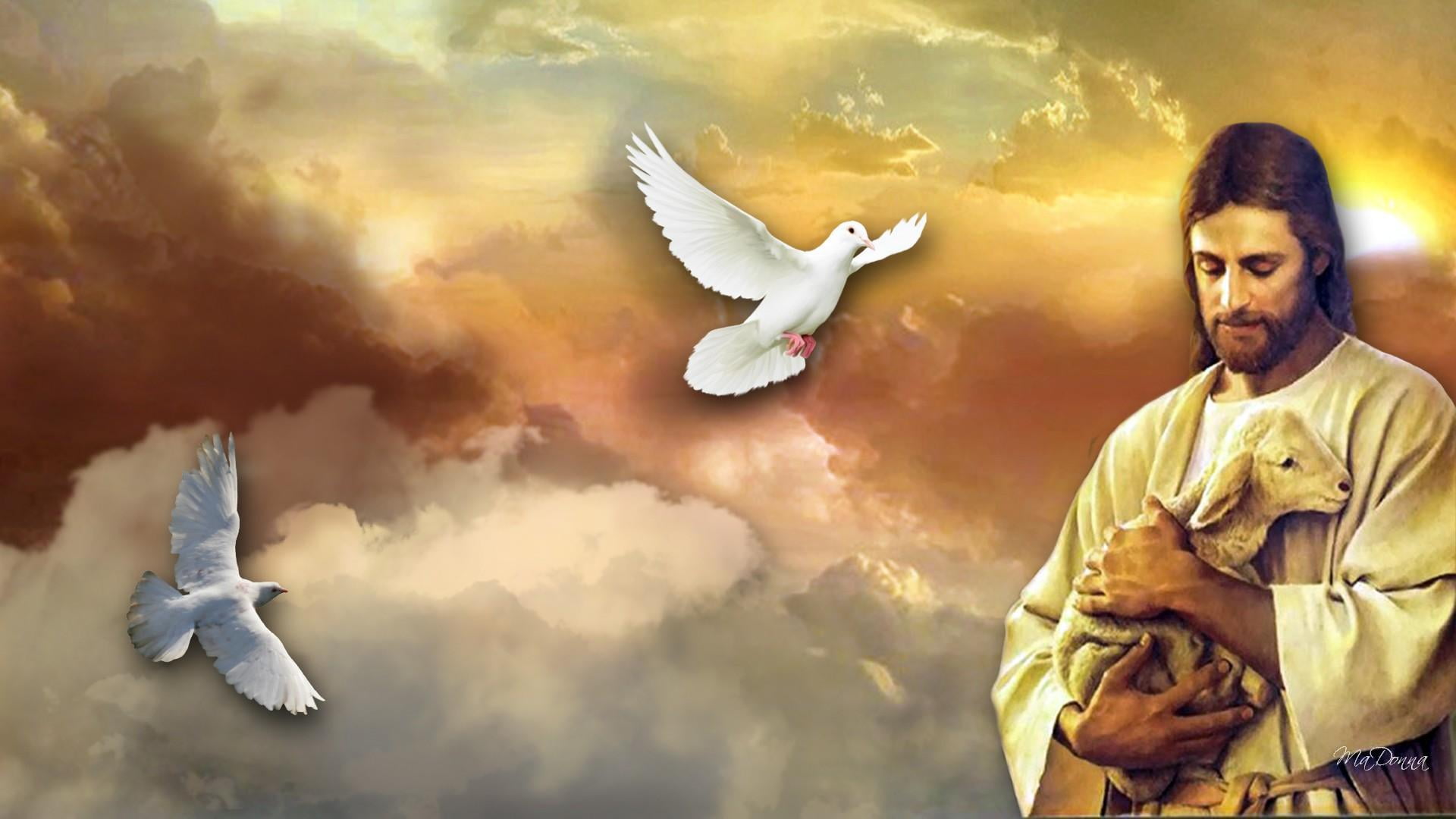 1080P, Jesus, Religious, Lamb, Dove, HD Wallpaper