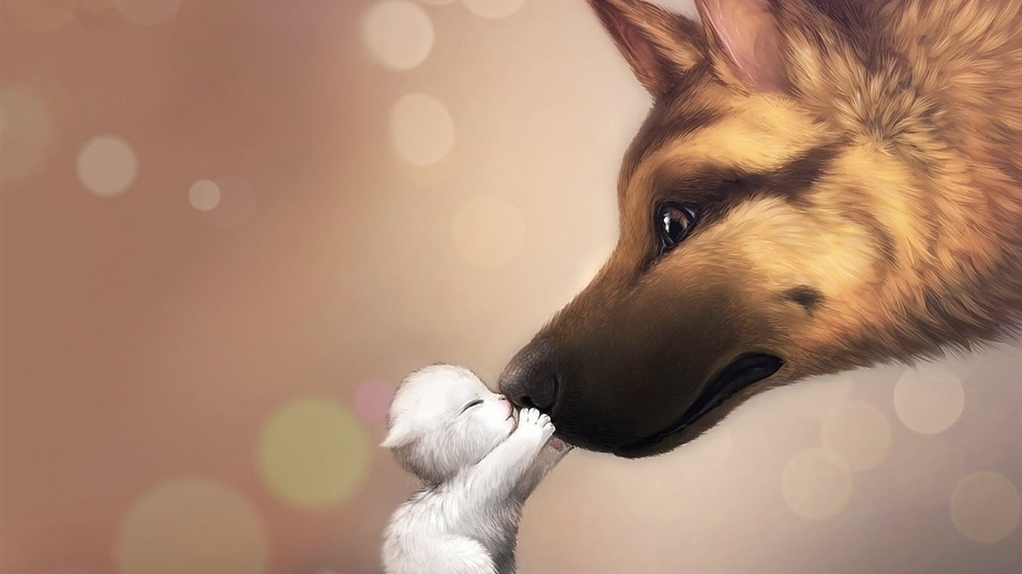 dog, digital, indoors, animal themes, animals, brown, mammal, close-up, lamb, animal body part, animal head, vertebrate, cat, animal hair, 720P, HD Wallpaper