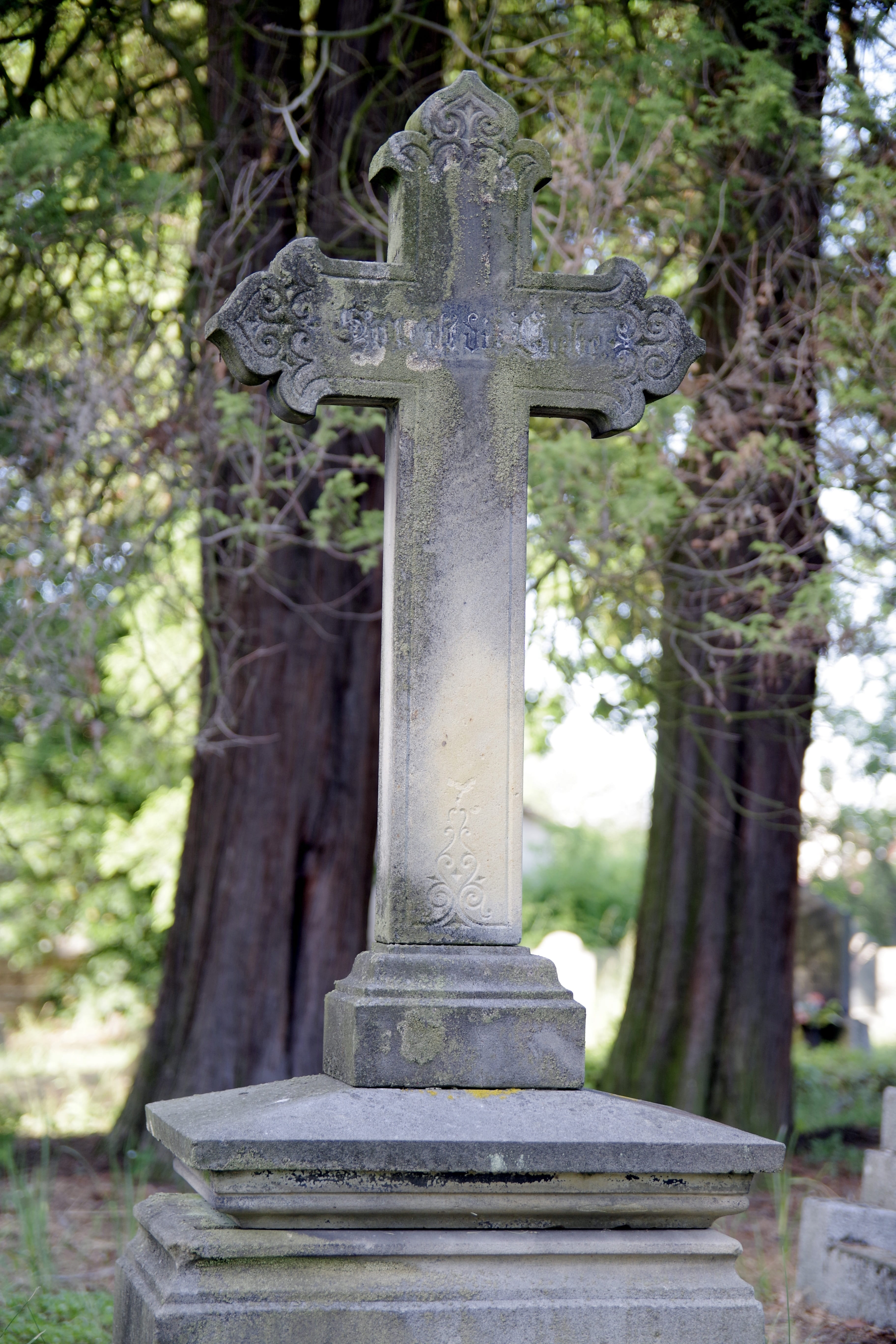 architectural column, Cross, spirituality, 5K, sadness, stone material, day, focus on foreground, plant, stone, grave, no people, all saints  day, religion, Phone HD Wallpaper