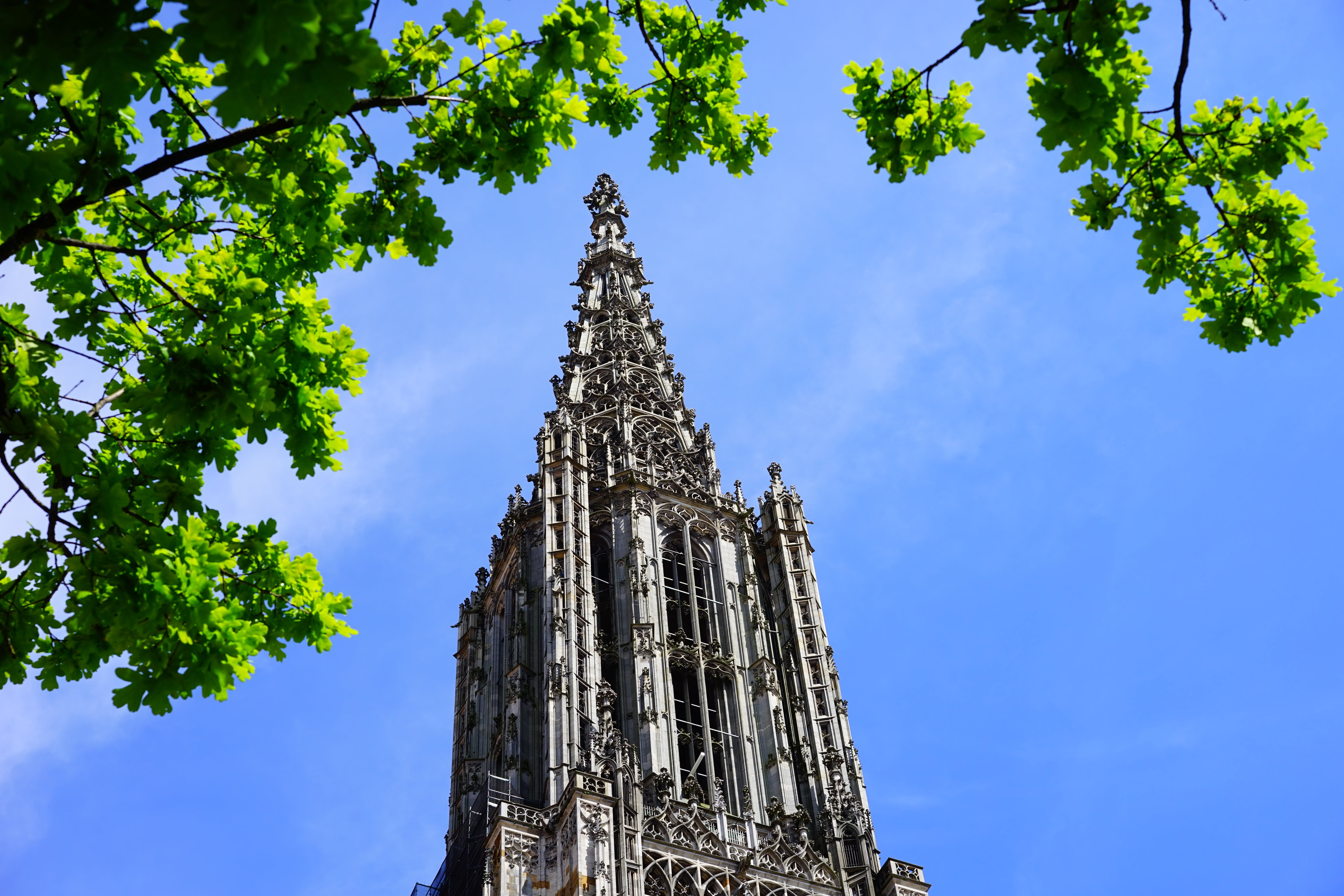 city, old town, outdoors, faith, architecture, sky, münster, tower, place of worship, christian, historically, high, ulm cathedral, late gothic, protestant, HD Wallpaper