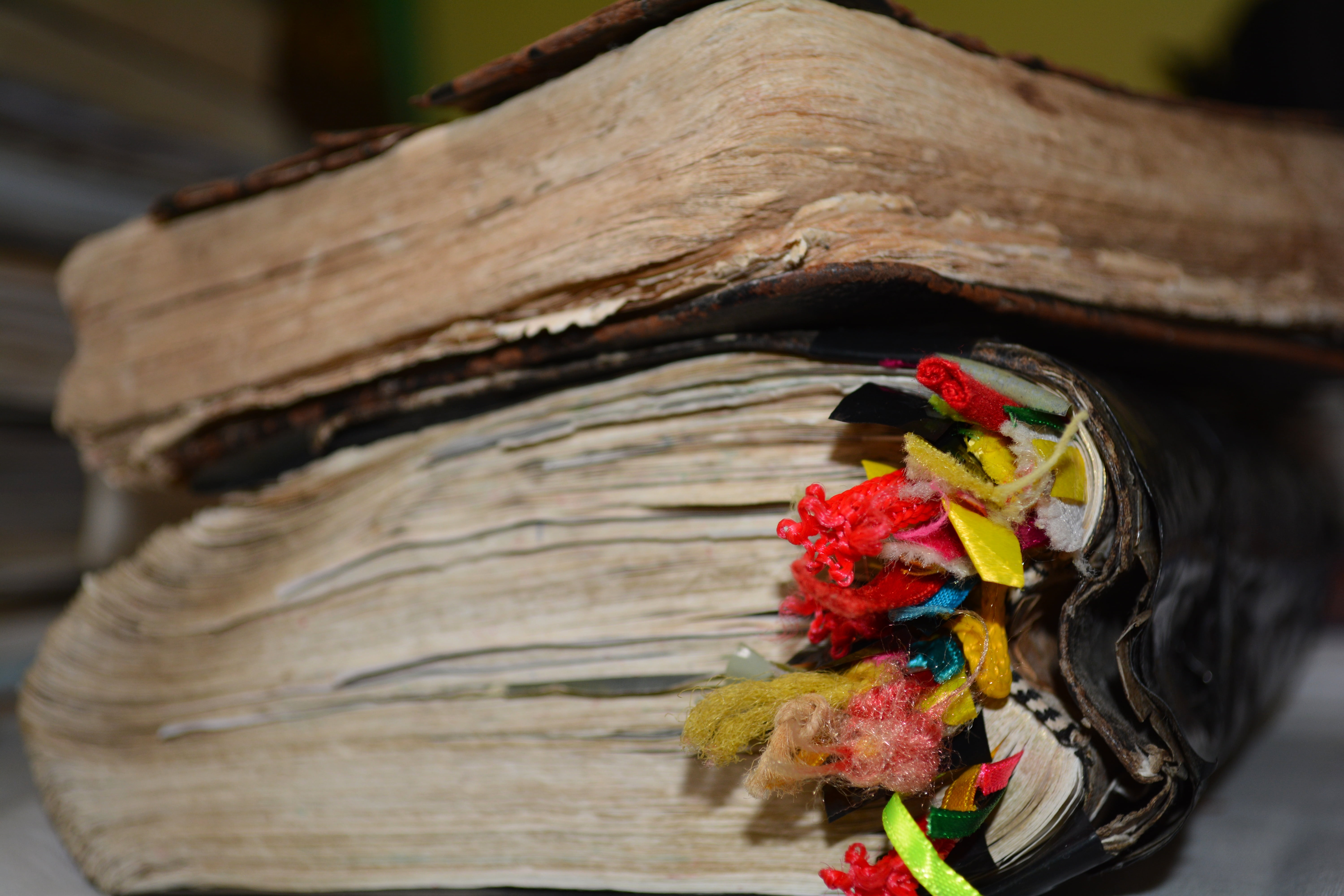selective focus, bird, 5K, close-up, bible, animal themes, representation, craft, trunk, no people, plant, art and craft, wood - material, outdoors, faith, HD Wallpaper