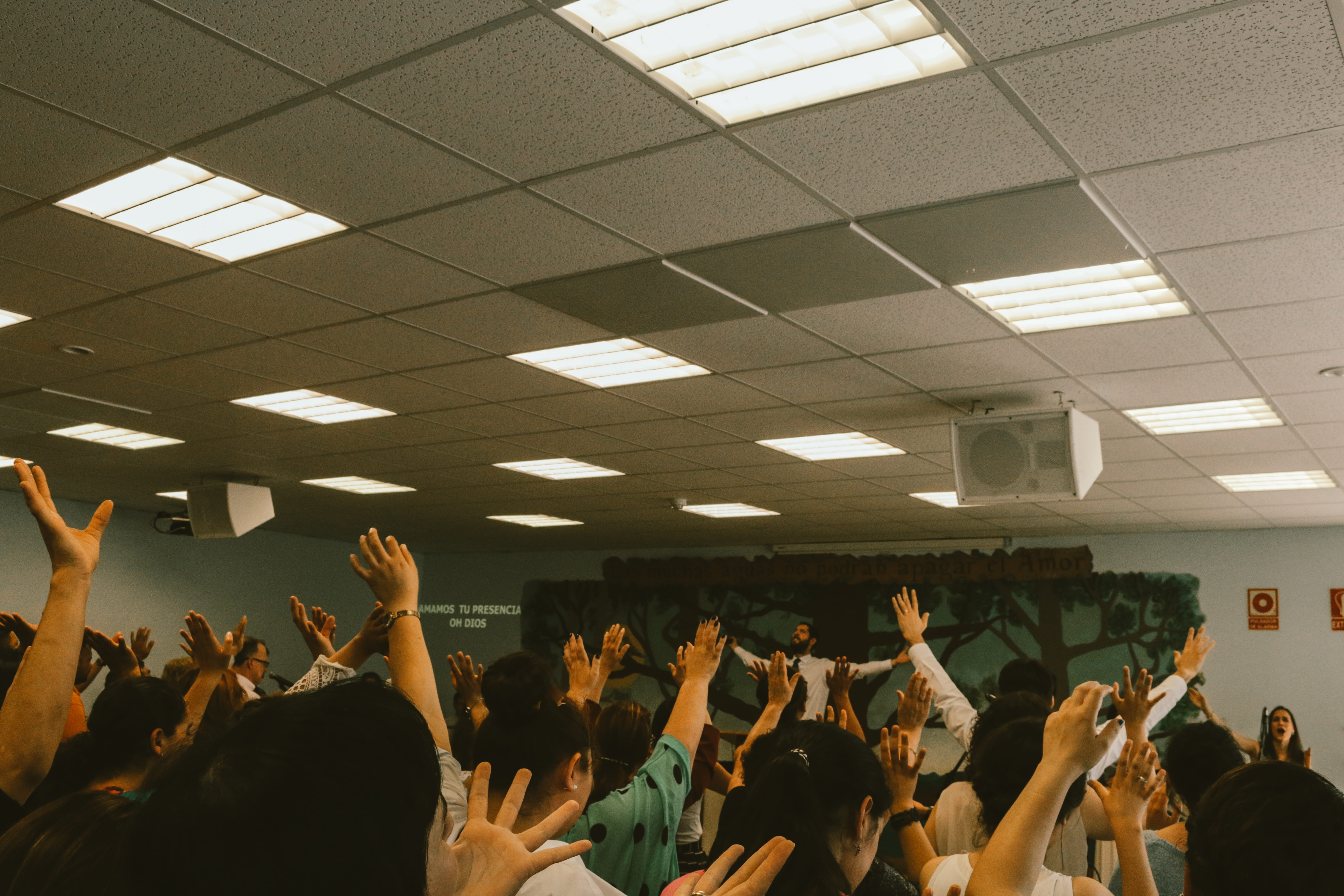 missionary, basque, hand raised, praise, inside, women, arts culture and entertainment, limb, mission, performance, 5K, body part, enjoyment, new, event, HD Wallpaper