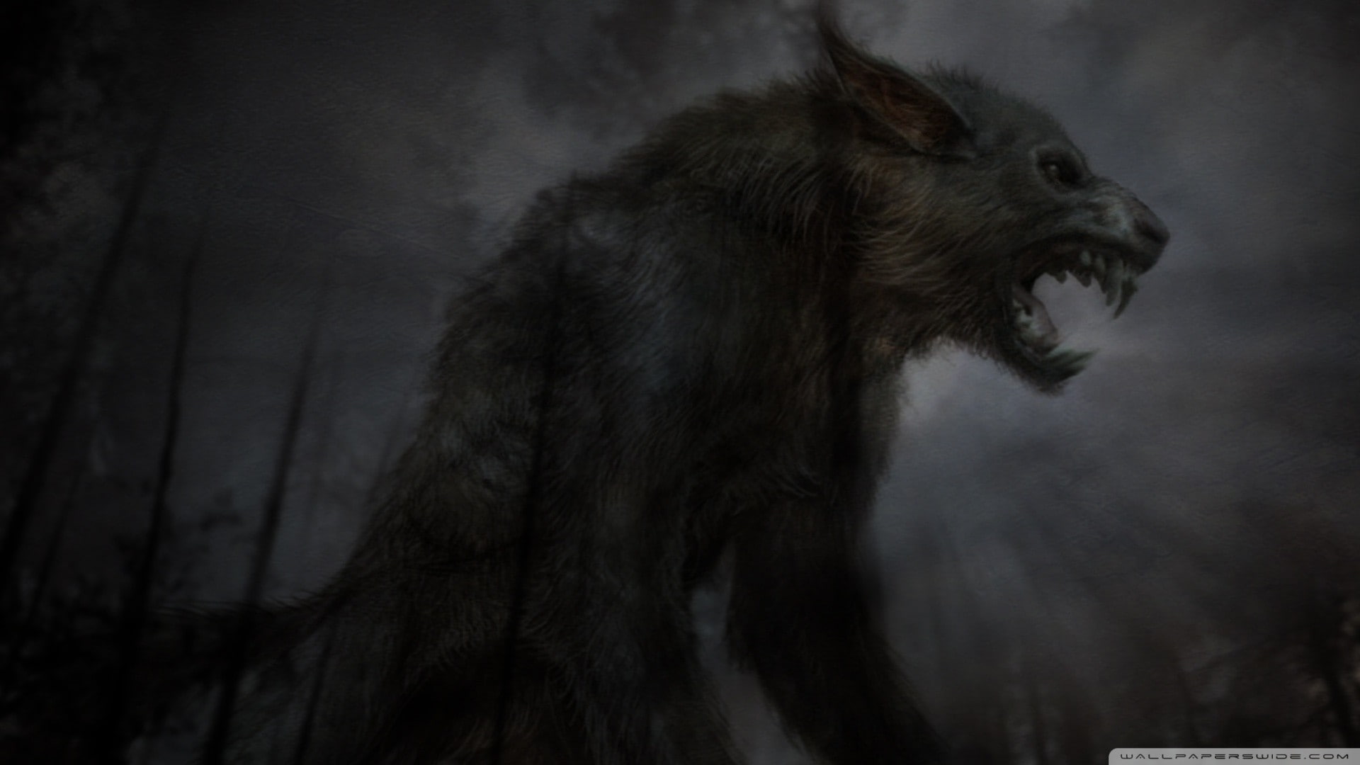 Black, TagNotAllowedTooSubjective, photography, fantasy, hd, wolves, abstract, art, fantasy art, 1080P, HD Wallpaper