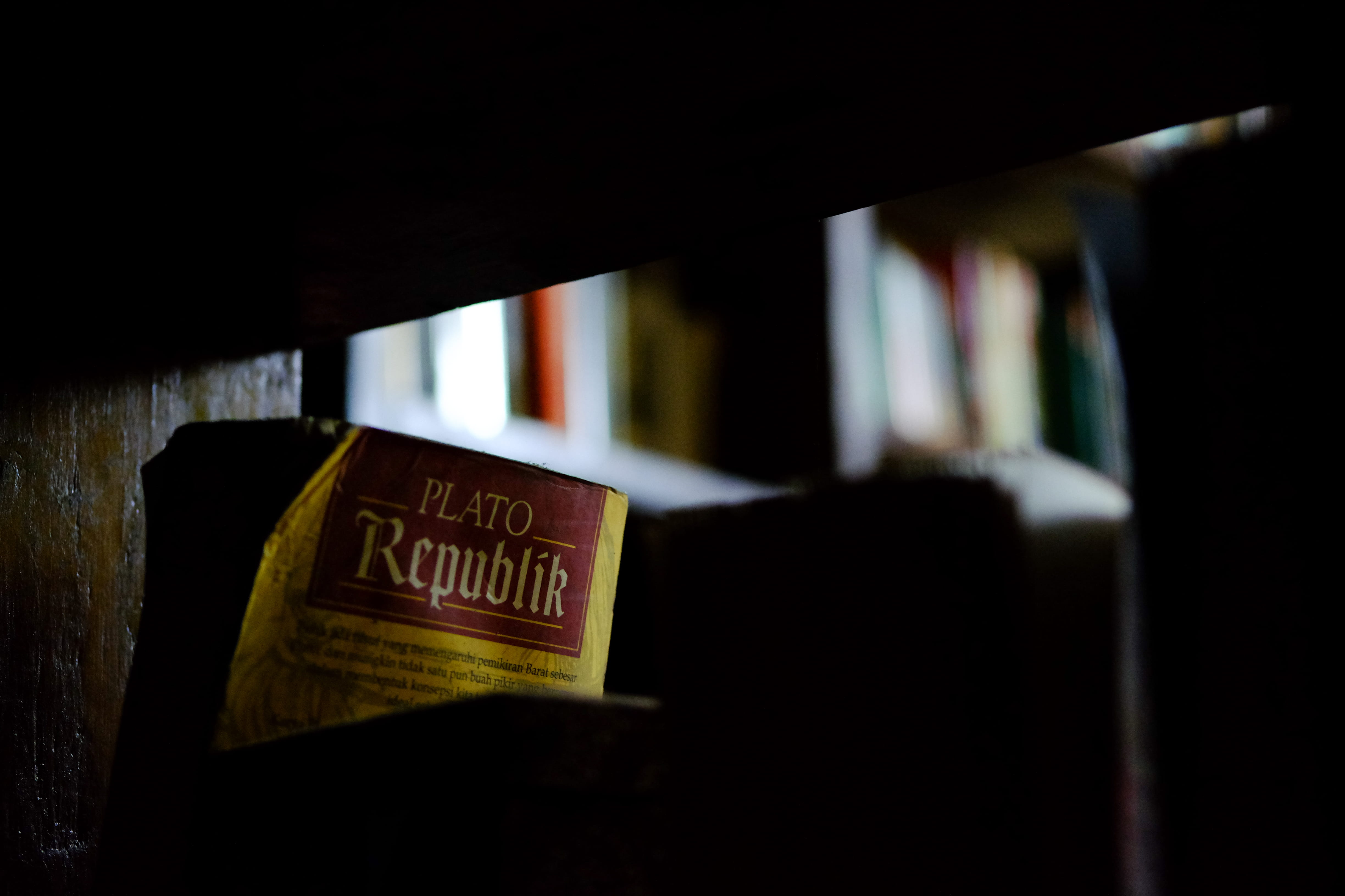 education, publication, text, message, business, selective focus, information, shelf, western script, close-up, bookshelf, library, no people, information sign, HD Wallpaper