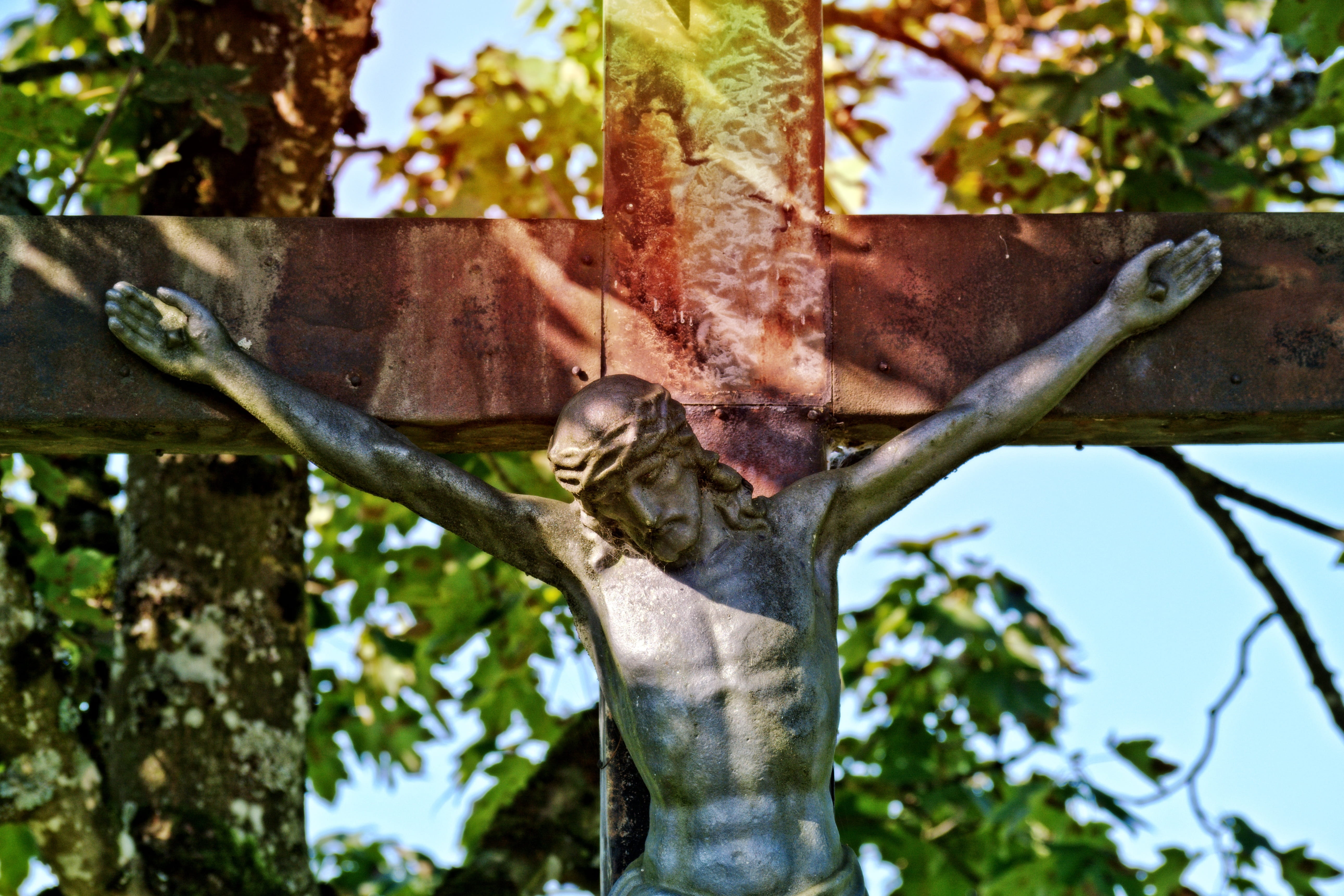iron cross, tree Trunk, squirrel, mammal, 5K, Symbol, branch, Religion, faith, vertebrate, Jesus, wayside cross, trunk, no people, christ, nature, animals in the wild, HD Wallpaper