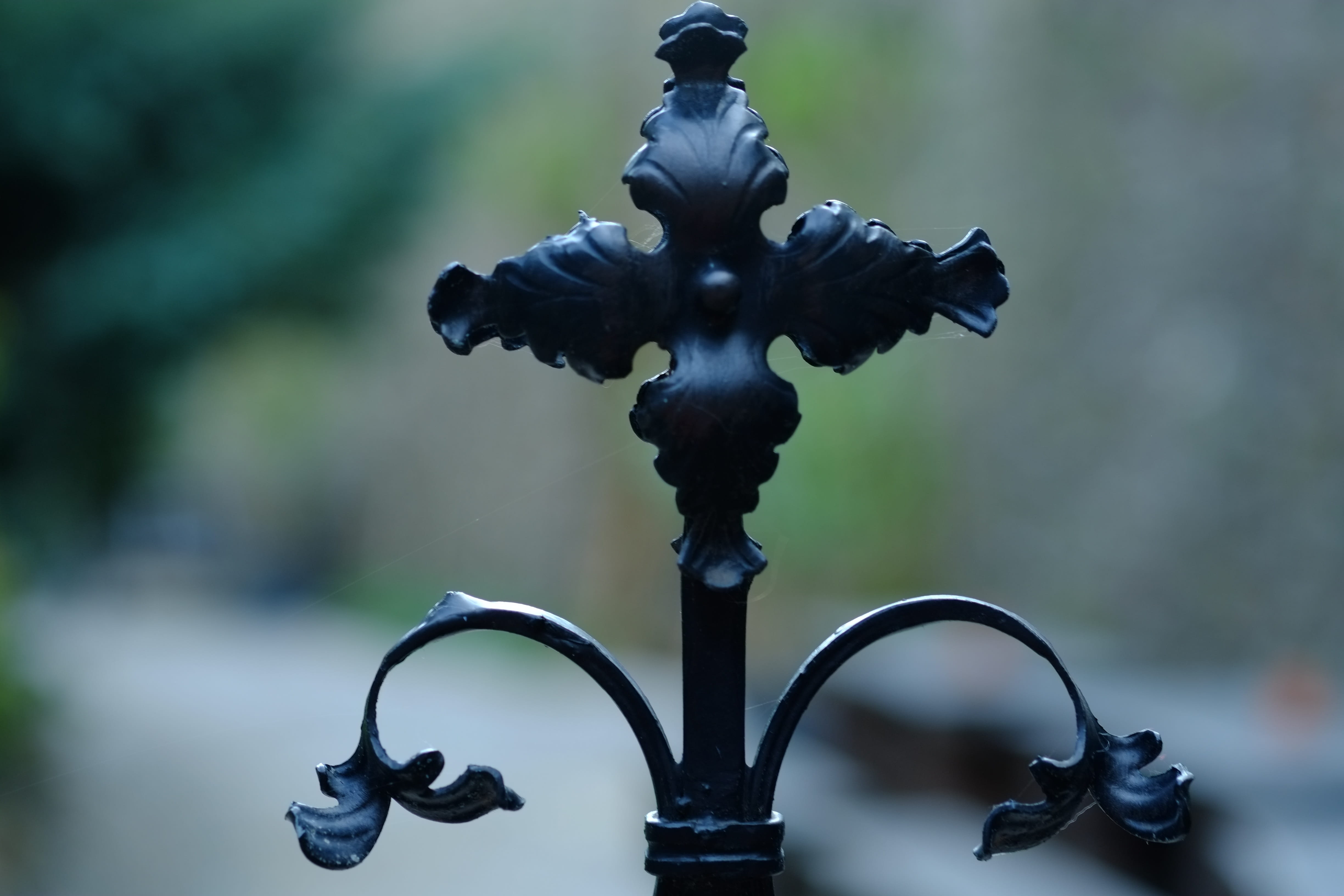 fence, plant, pattern, metal decorating, swinging, creativity, old, verschnörkelt, close-up, curlicue, abstract, male likeness, human representation, frame, HD Wallpaper