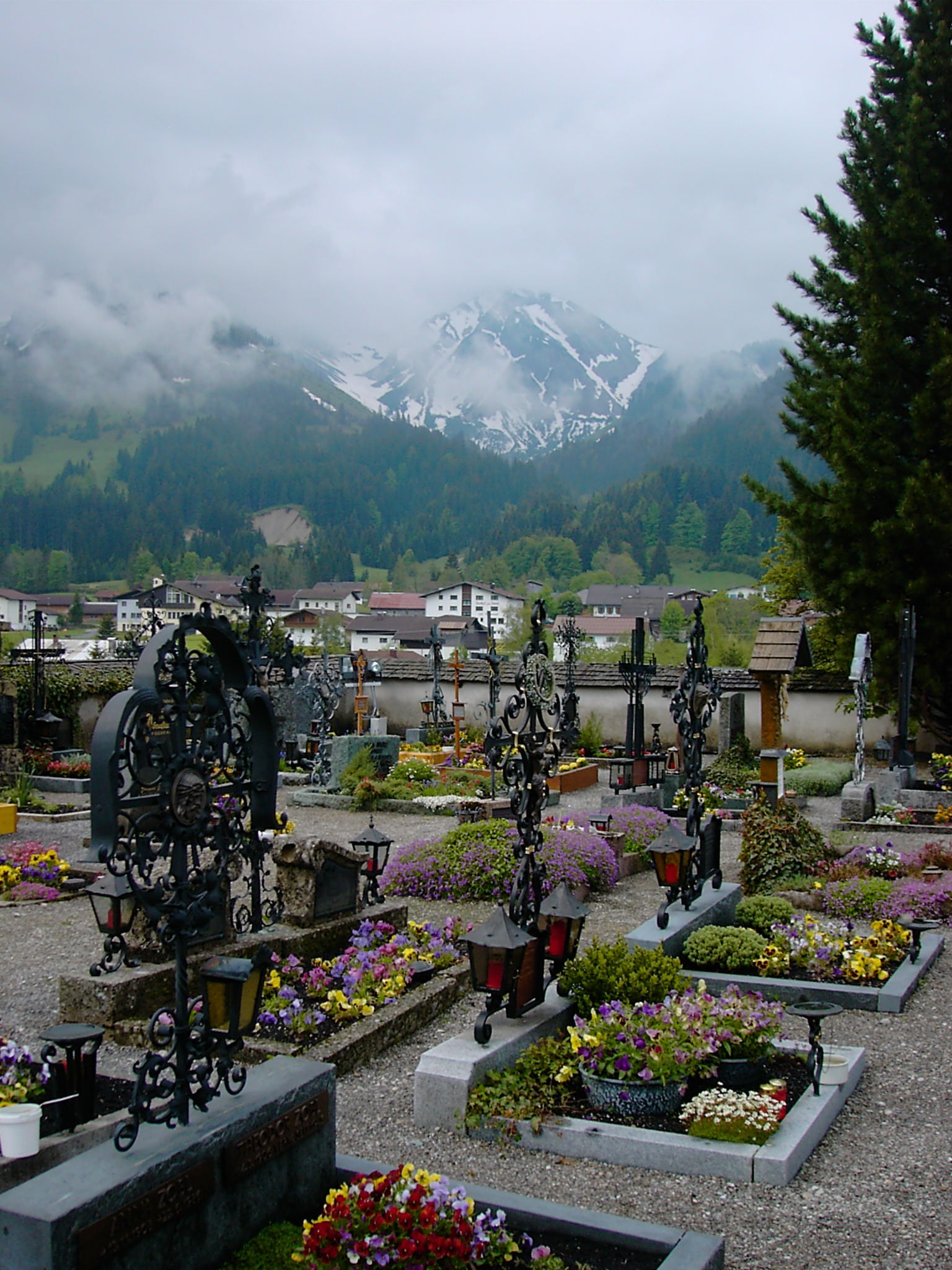 alpine panorama, nature, cross, wrought iron, beauty in nature, cloud - sky, tyrol, plant, high angle view, flowering plant, growth, 1080P, built structure, Phone HD Wallpaper