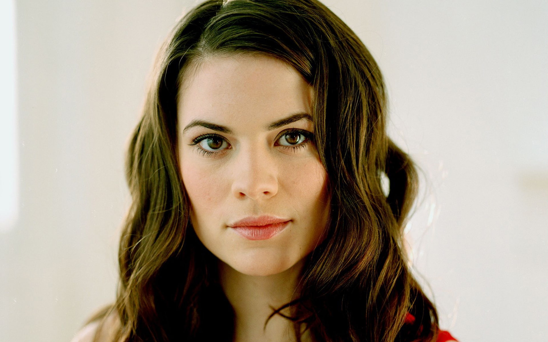 1080P, Hayley, Atwell, HD Wallpaper