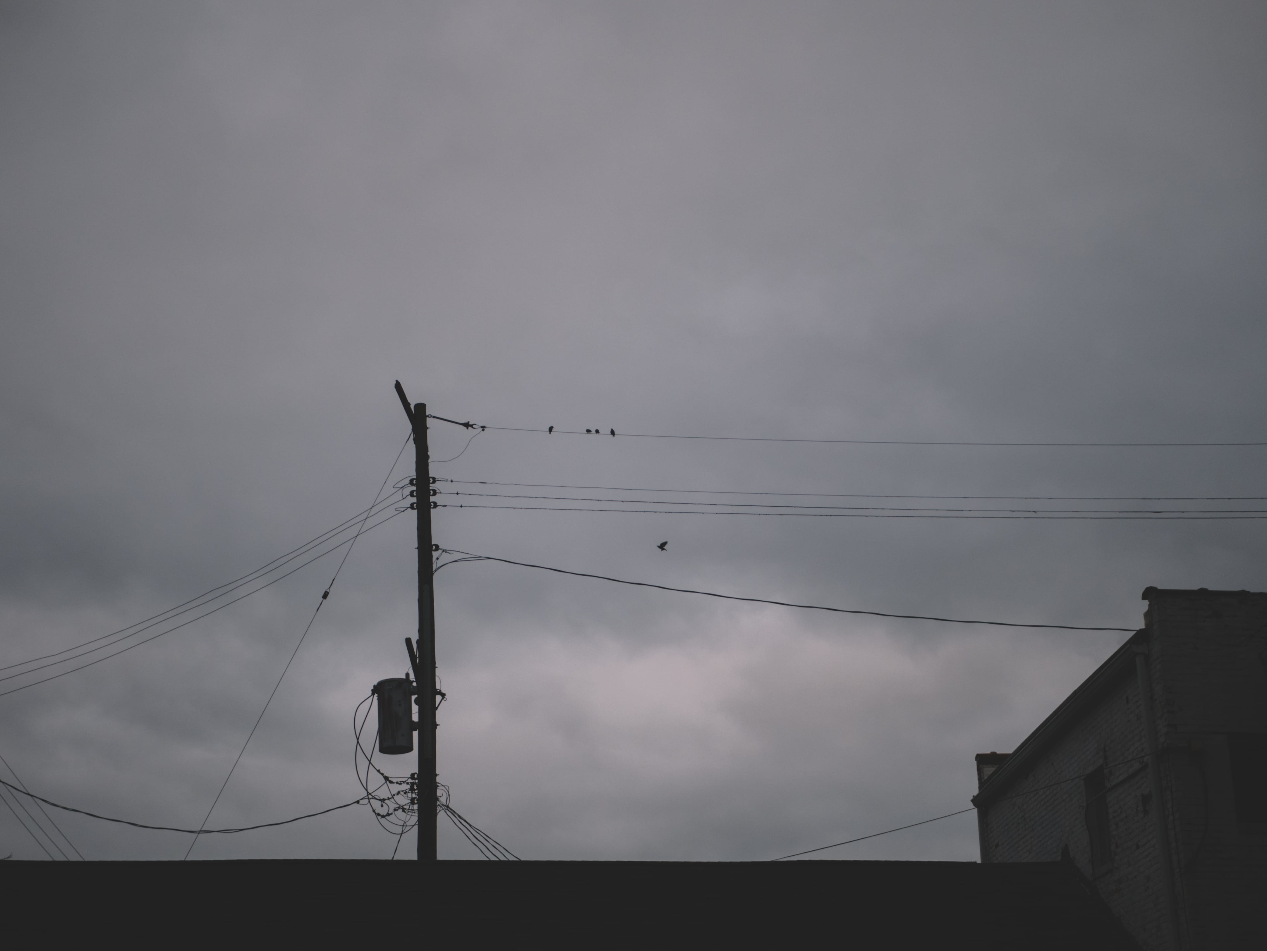 outdoors, silhouette, electricity pylon, built structure, birds, bird, morning, connection, power supply, south broad street, autumn, flock of birds, michigan, HD Wallpaper