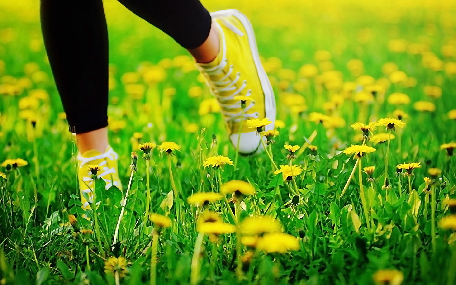 adult, yellow, sports Clothing, feet, beauty, plant, beautiful, sport, jogging, escape, summer, flower, flowering plant, sports Training, human body part, HD Wallpaper