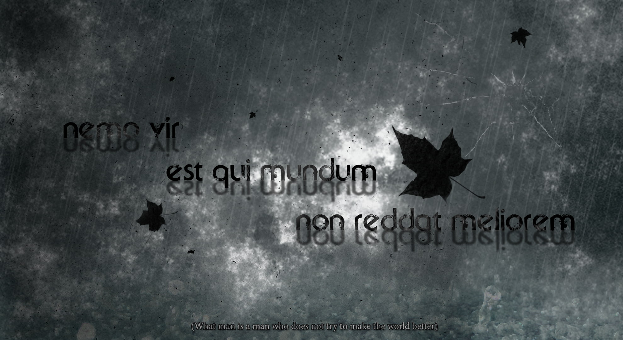 quote, animal, textured effect, backgrounds, Kingdom Of Heaven, communication, graffiti, panoramic, text, weathered, outdoors, day, architecture, sign, HD Wallpaper