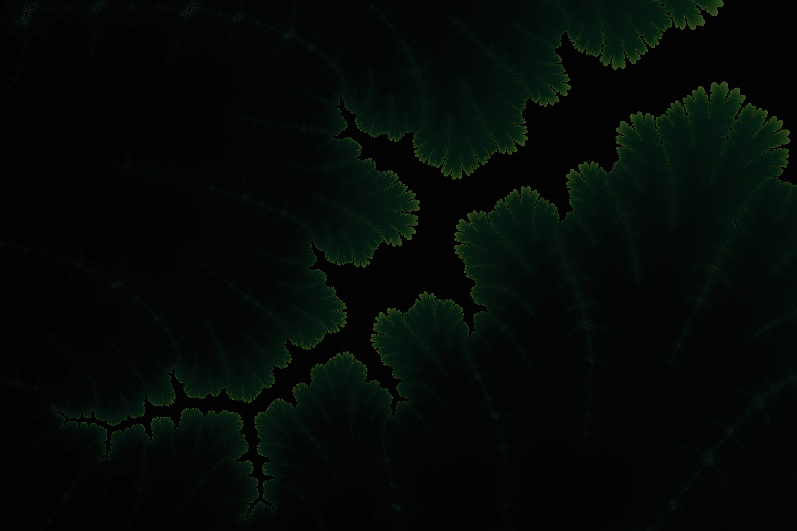 fractal, 2K, dark, Adi Dizdarevic, HD Wallpaper