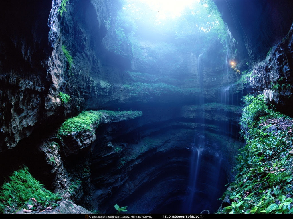 nature, adi, forests, hd, art, forest, 480P, HD Wallpaper