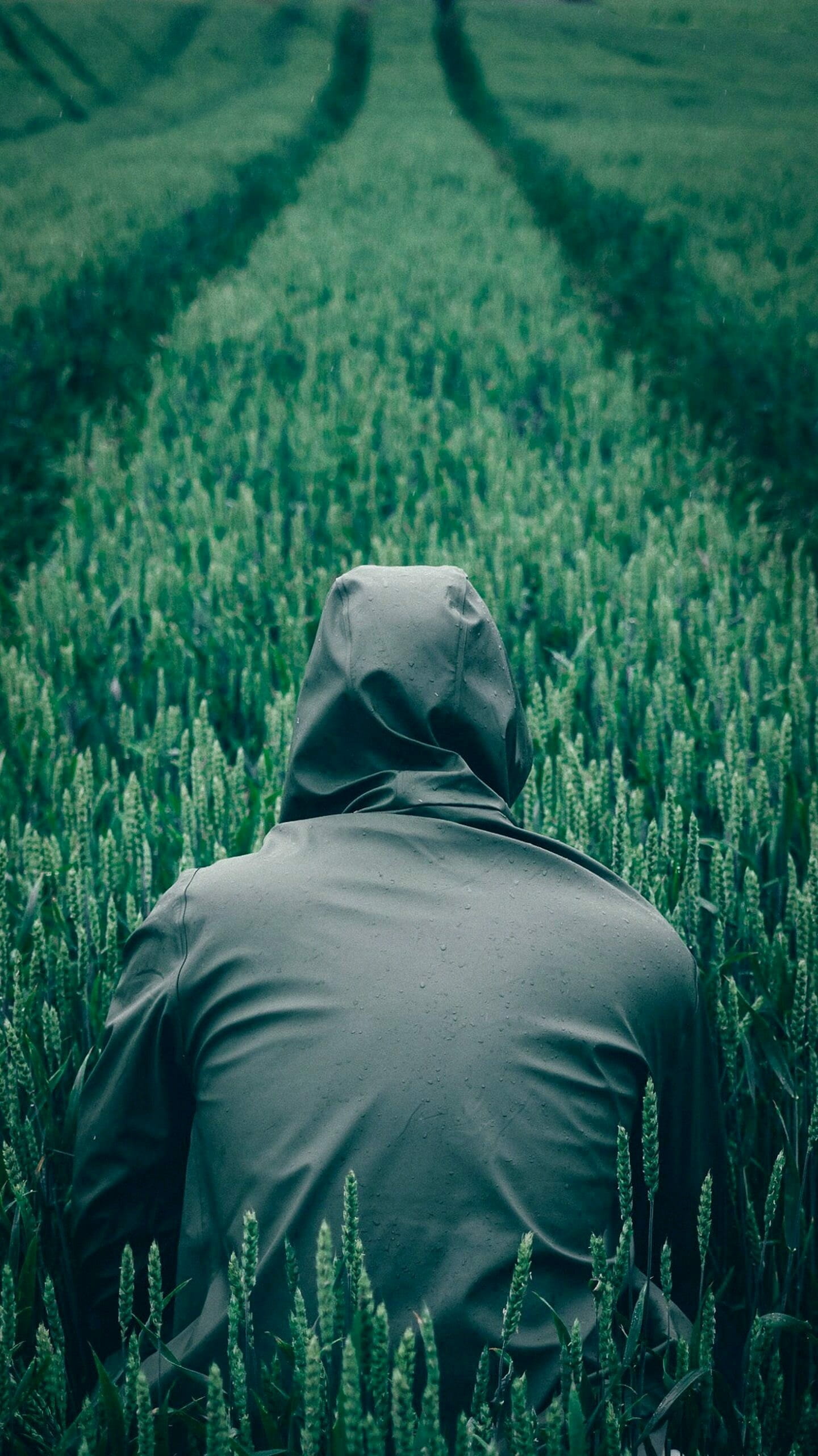 outdoors, Adi, clothing, land, nature, Flash, plantation, lifestyles, environment, roy, rear view, plant, 2K, green color, crop, beauty in nature, agriculture, Phone HD Wallpaper