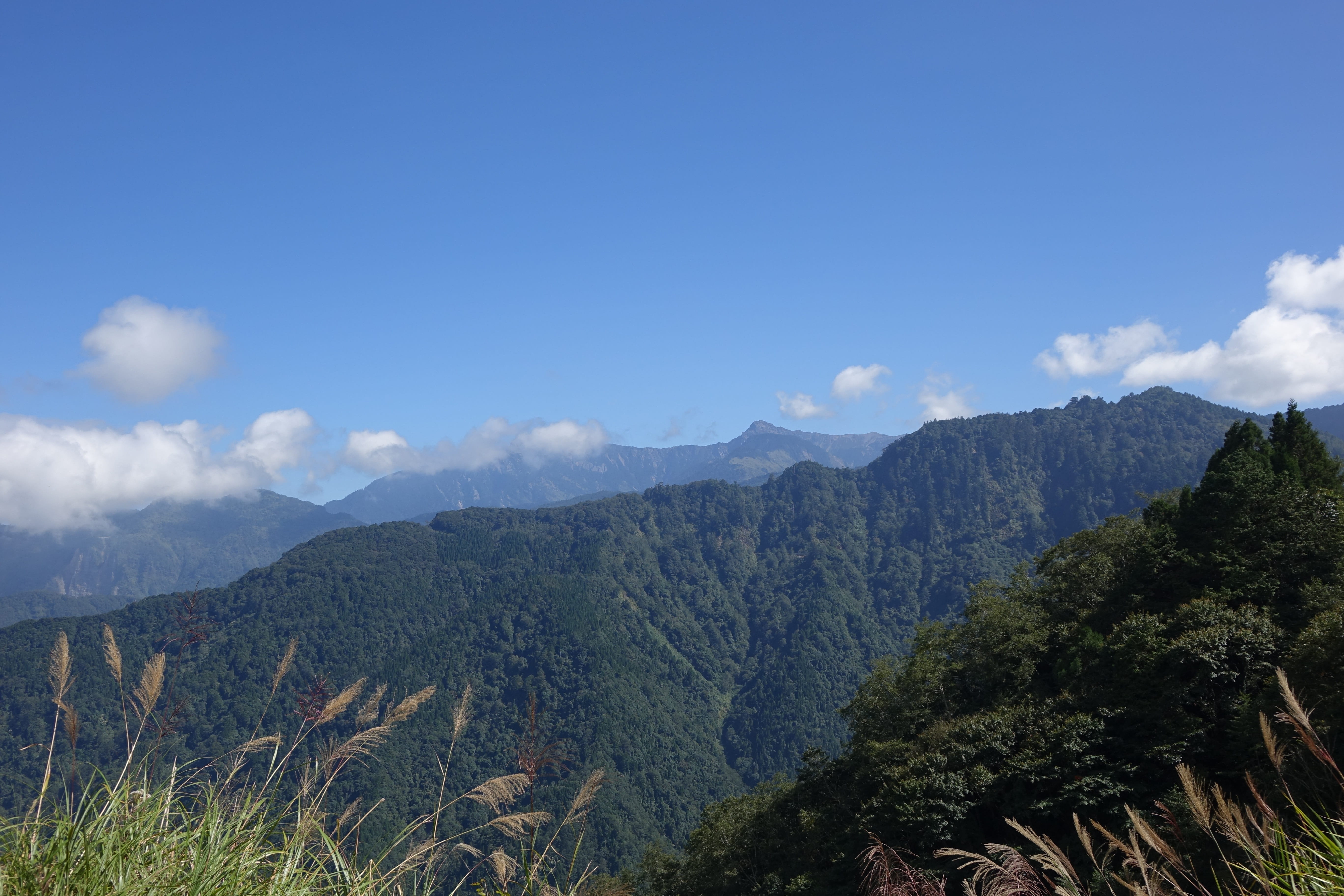 plant, nature, tranquility, mountain peak, tree, day, outdoors, forest, mountain, the mountains, Mountains, no people, pine tree, Baiyun, sky, mountain range, HD Wallpaper
