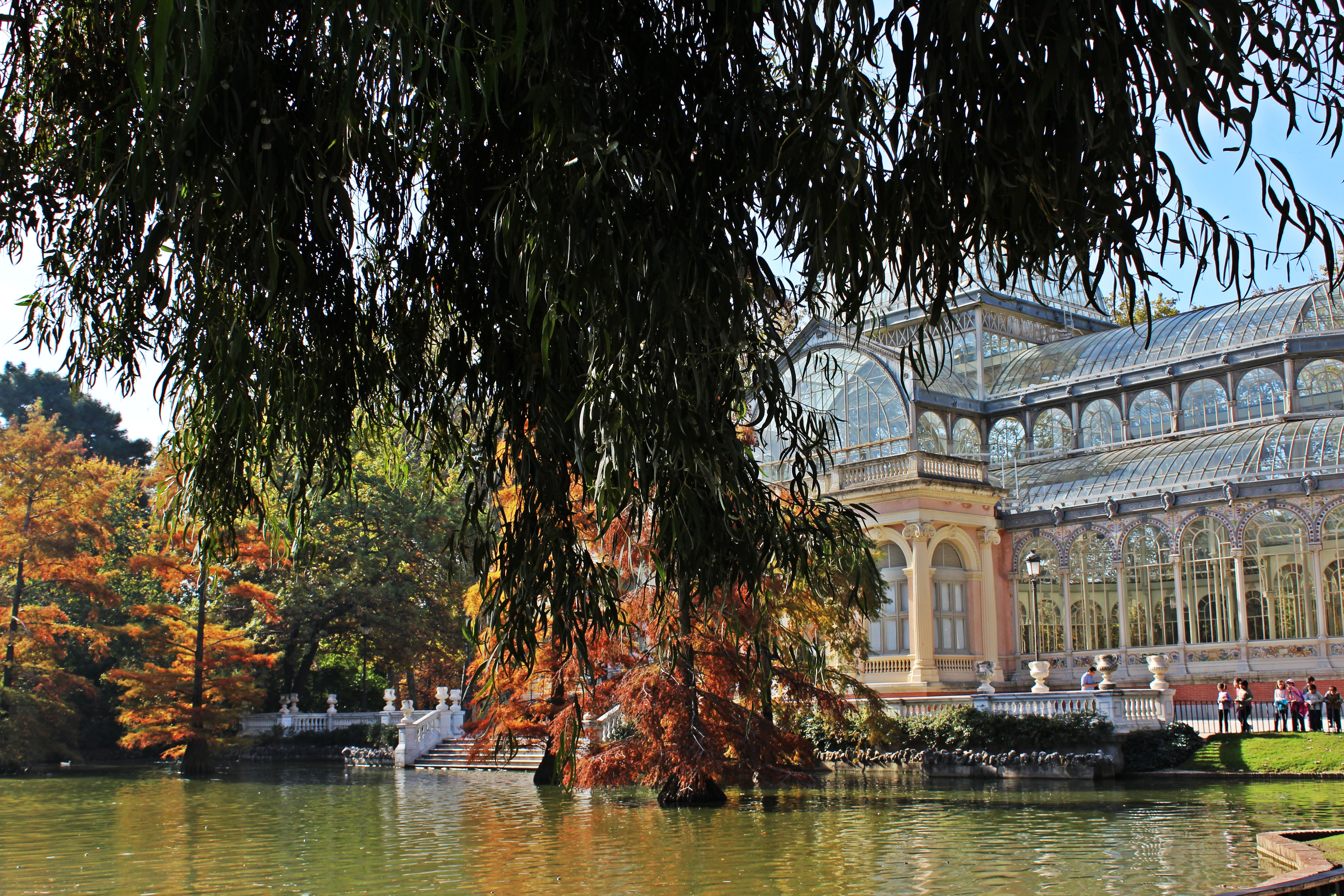 lake, picturesque, monumental, plant, water, luxury, madrid, built structure, retirement, landscape, tourism, blue, sky, lush, culture, pond, leaves, tree, HD Wallpaper