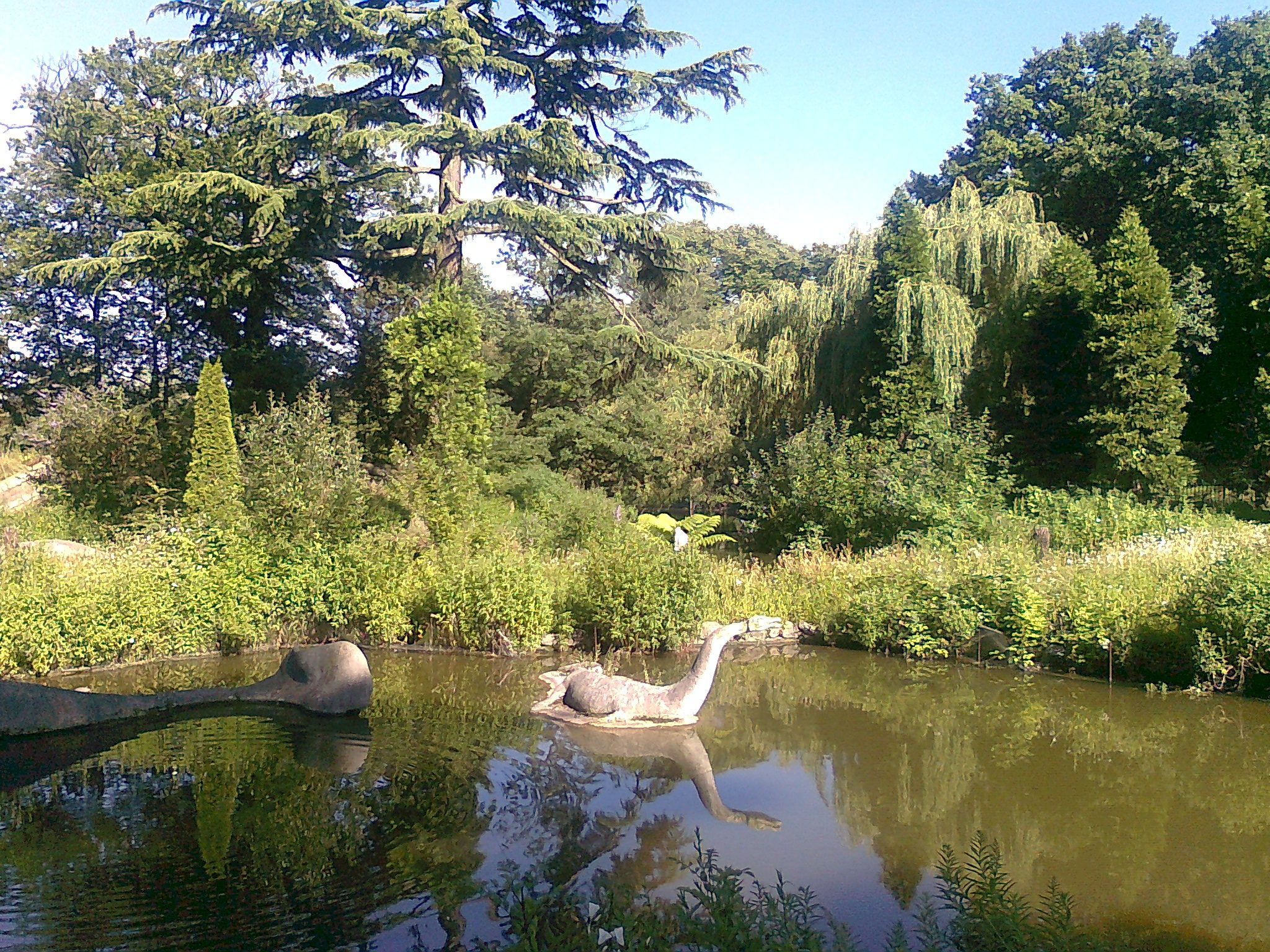 plant, lake, nature, animals, sky, idyllic, tranquility, theme park, green color, growth, tranquil scene, water, day, dinosaur, summer, crystal palace, HD Wallpaper