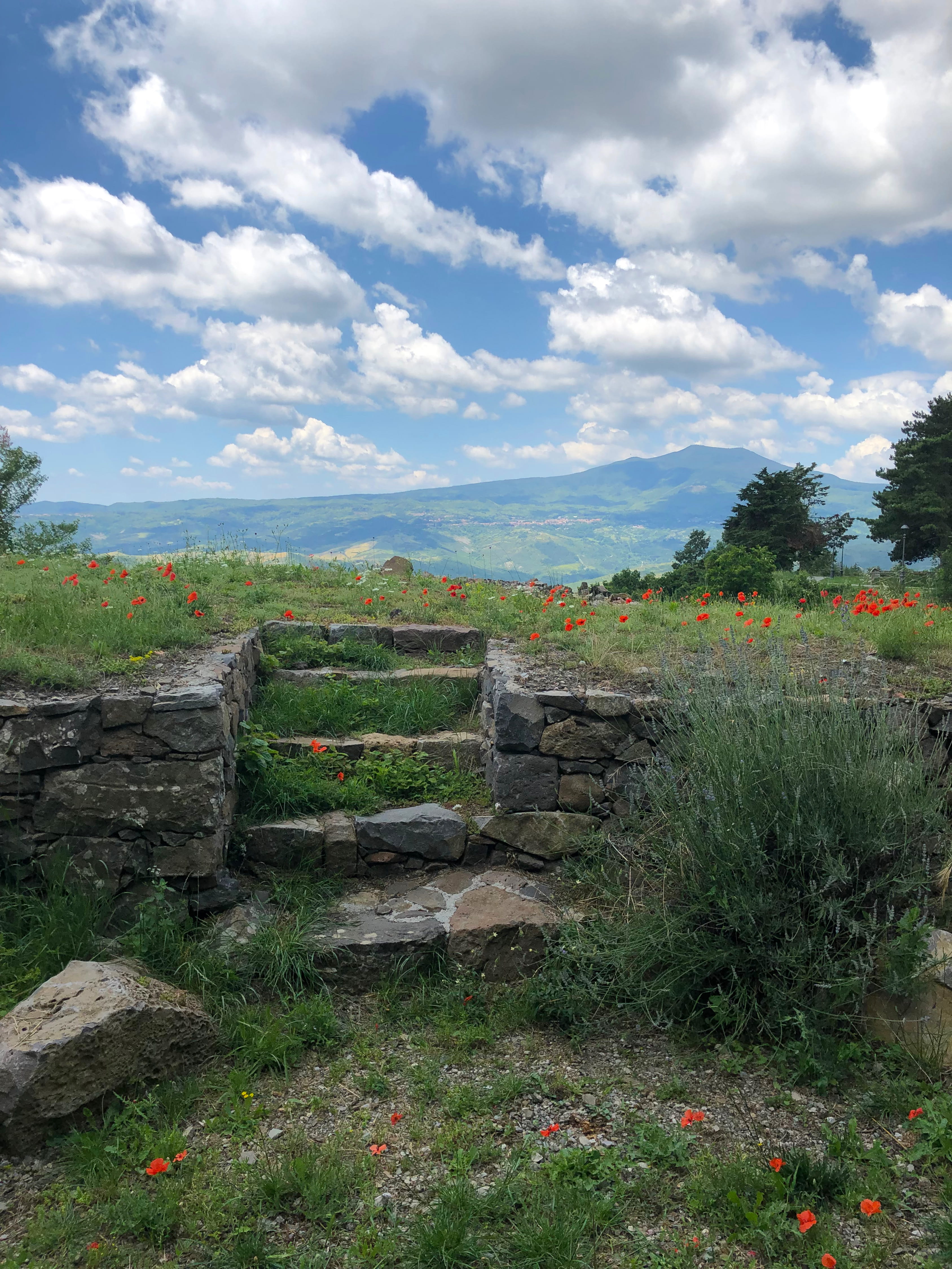nature, cloud - sky, no people, near, field, history, ground, day, mountain, plant, ruin, poppies, flower, tuscany, architecture, built structure, green, Phone HD Wallpaper