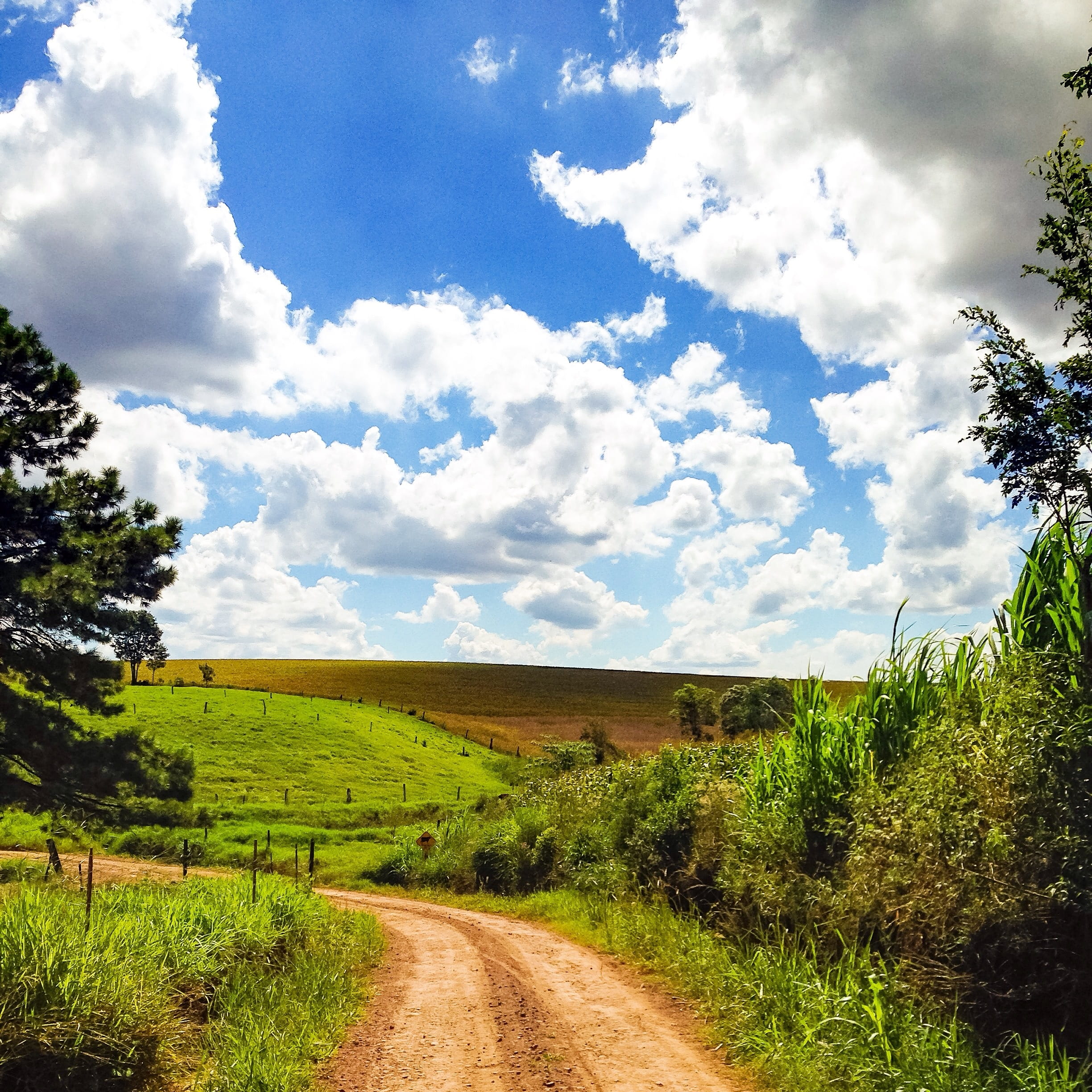 beauty In Nature, cloud - Sky, peace, no People, rural Scene, land, road, paradise, dirt, green Color, blue, Roça, 1080P, grass, cloudscape, tree, trail, Phone HD Wallpaper