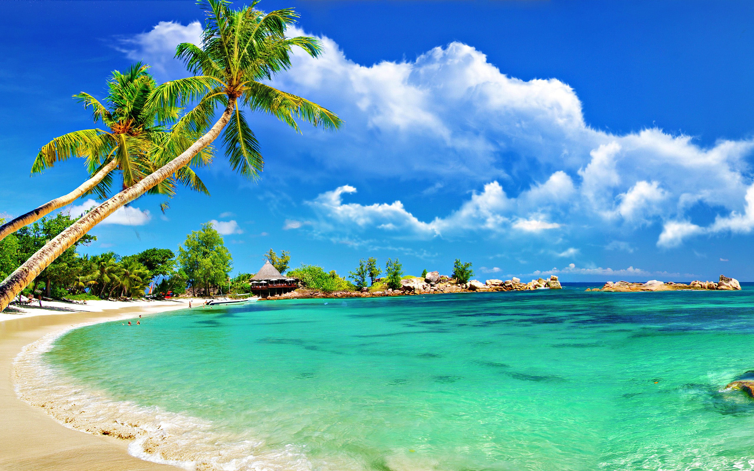 towels, tropical, palm, sky, clouds, sandy, beach, bungalow, hd, water, turquoise, 2K, ocean, HD Wallpaper