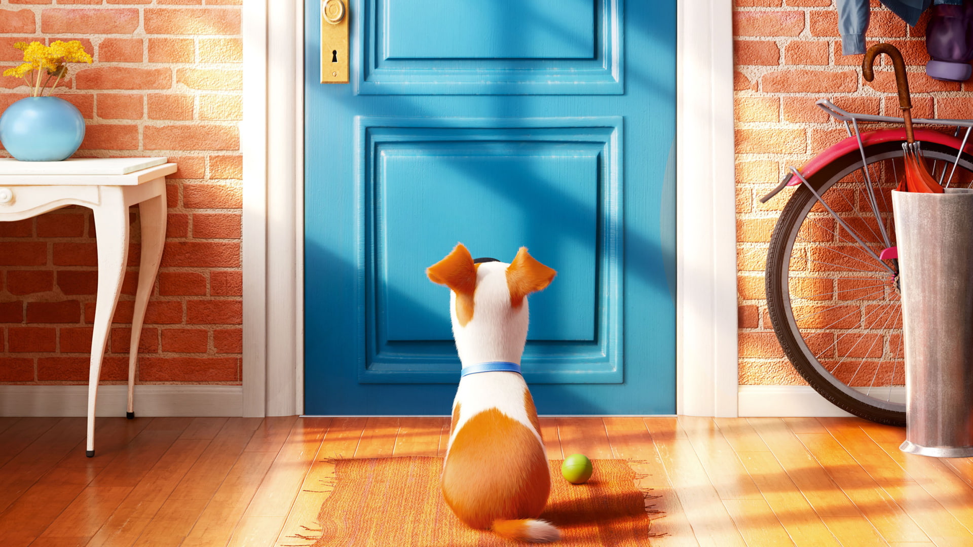 life, bike, secret, expect, 1080P, dog, pets, cartoons, wood, HD Wallpaper