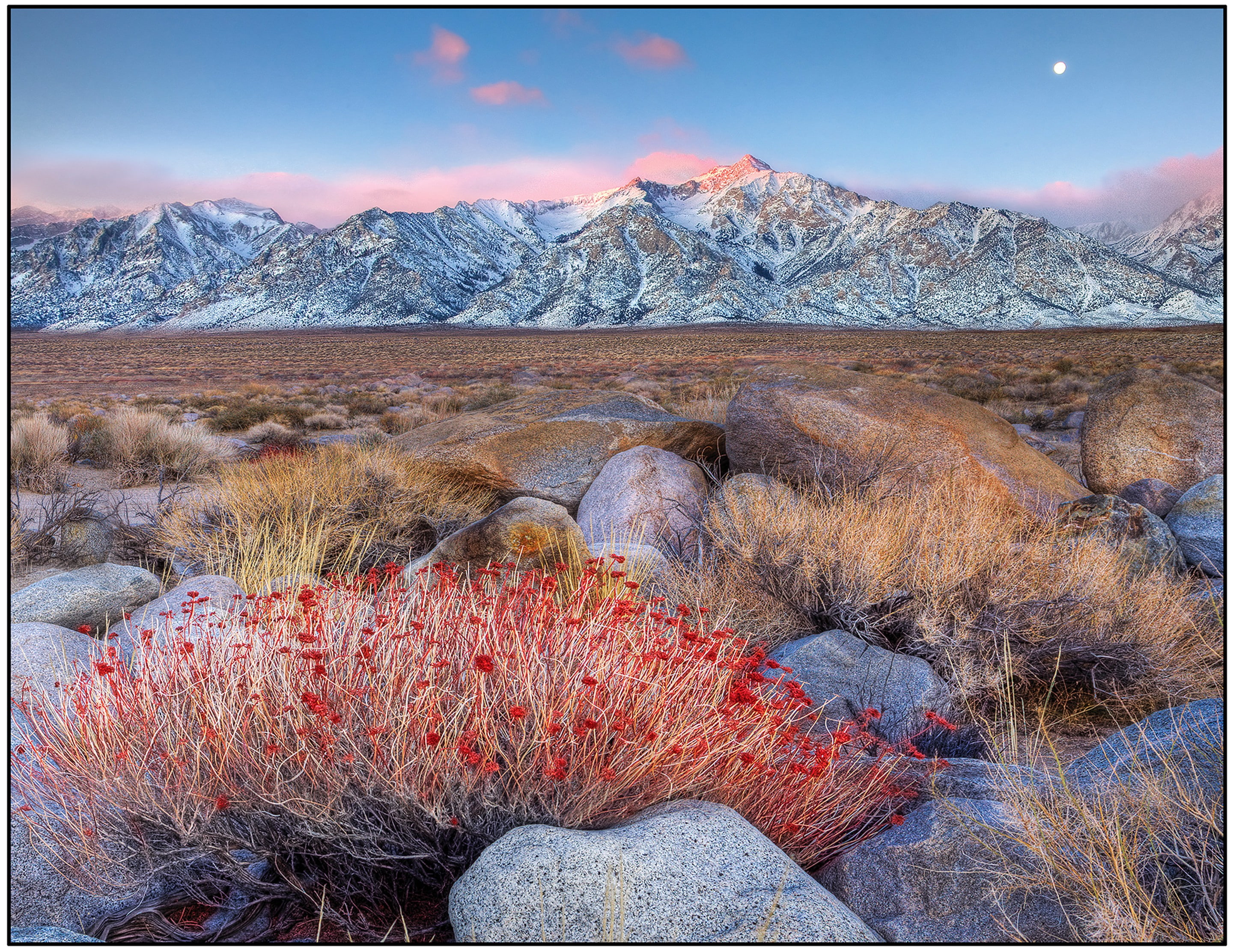 mountain, plants, mountains, photo, sky, flowers, usa, 2K, cover, rocks, alabama, snow, HD Wallpaper