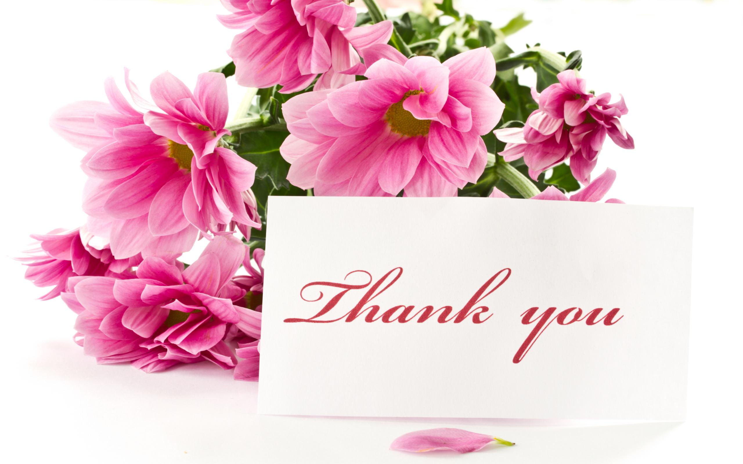 romantic, for you, flowers, 2K, thank, still life, beautiful, dreamer-girl, lovely, pret, sweet, luiza, romance, HD Wallpaper