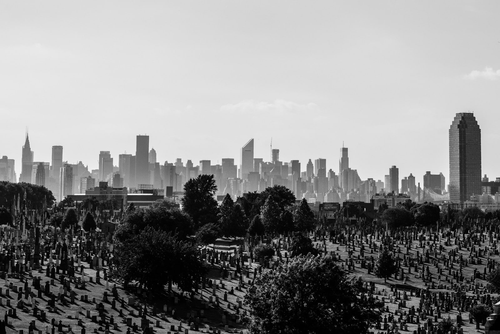 built structure, urban, sky, no people, New York City, residential district, urban skyline, day, building, plant, landscape, settlement, tree, nature, skyscraper, HD Wallpaper