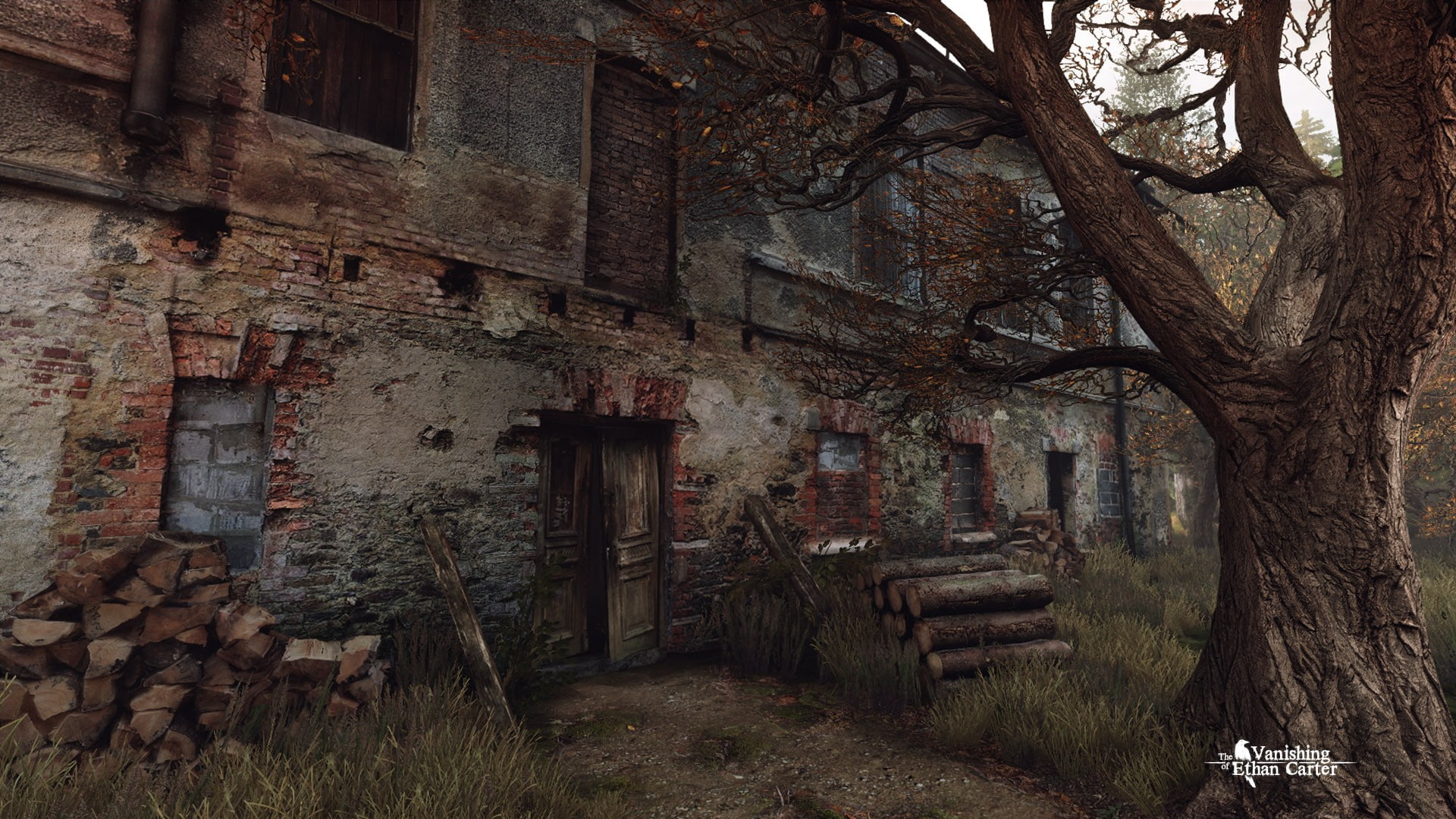 building exterior, building, wall - building feature, 1080P, alley, old, abandoned, window, house, built structure, plant, the way forward, tree, residential district, HD Wallpaper