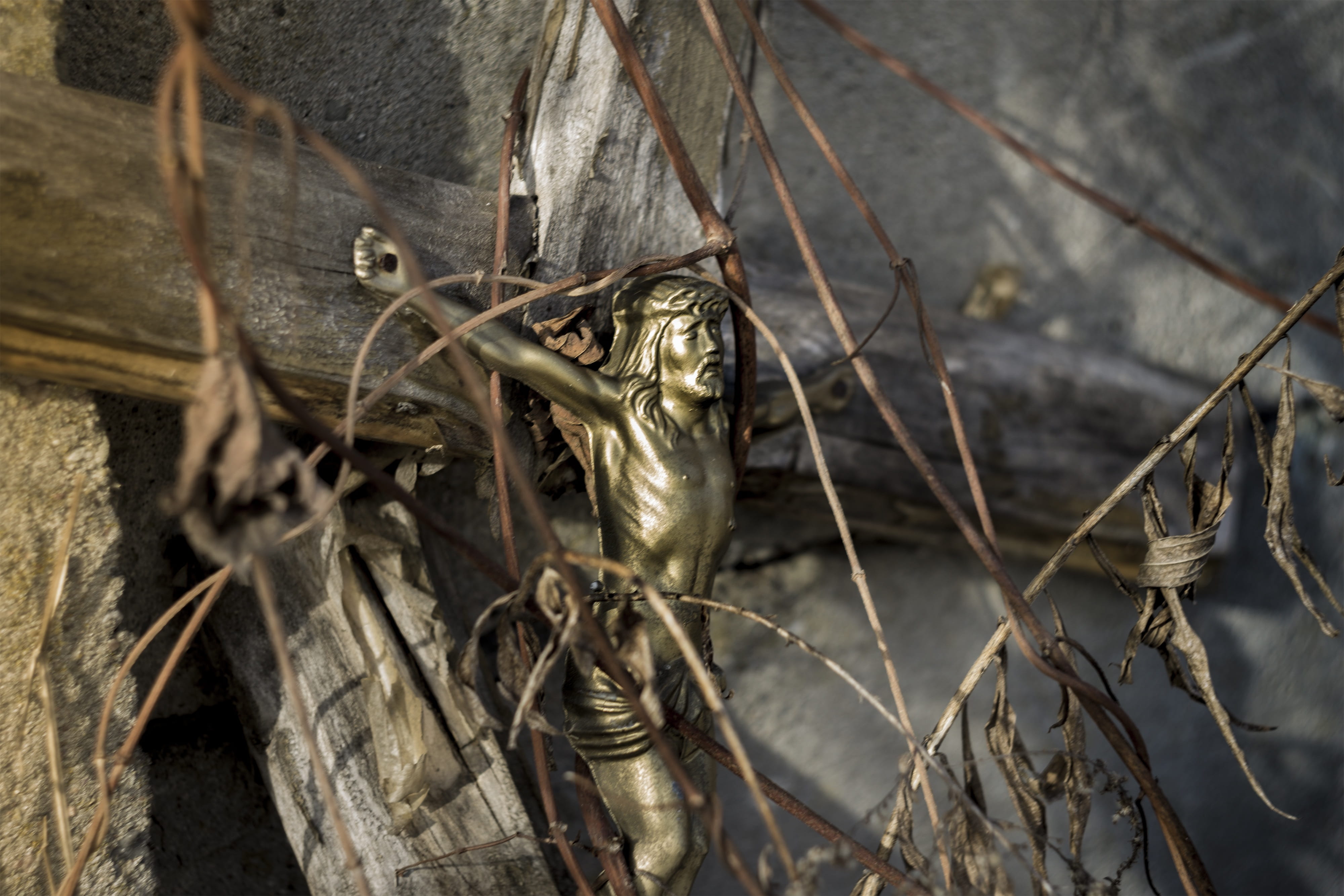 old, 4K, the tomb of, monument, dried plant, dried, outdoors, christianity, one animal, animal, plant, tomb, dry, bible, twig, vertebrate, the passion of the christ, HD Wallpaper