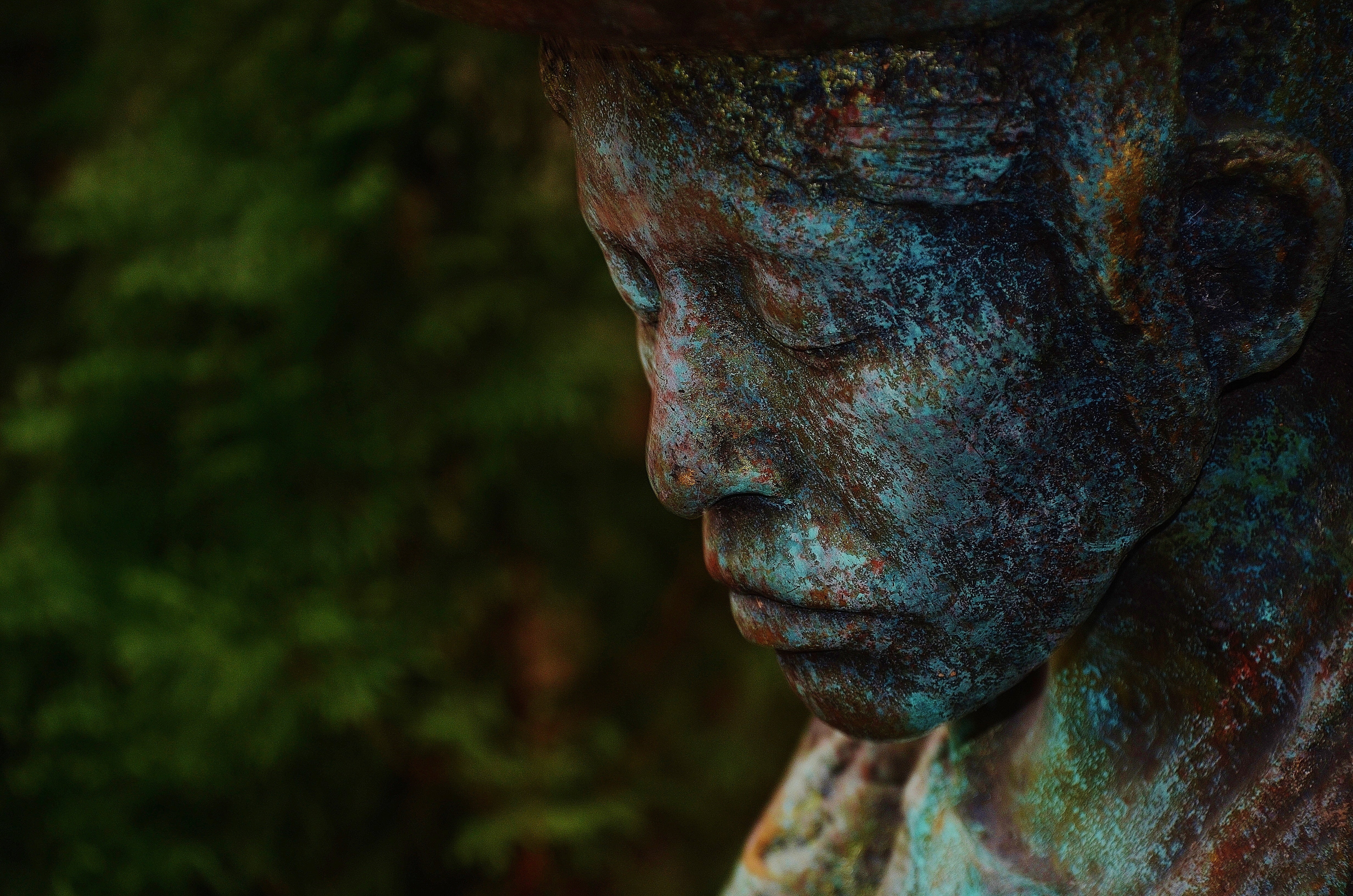 face, human face, monument, rough, view, body part, 4K, trunk, growth, outdoors, portrait, nature, focus on foreground, melancholic, art and craft, ernst, HD Wallpaper