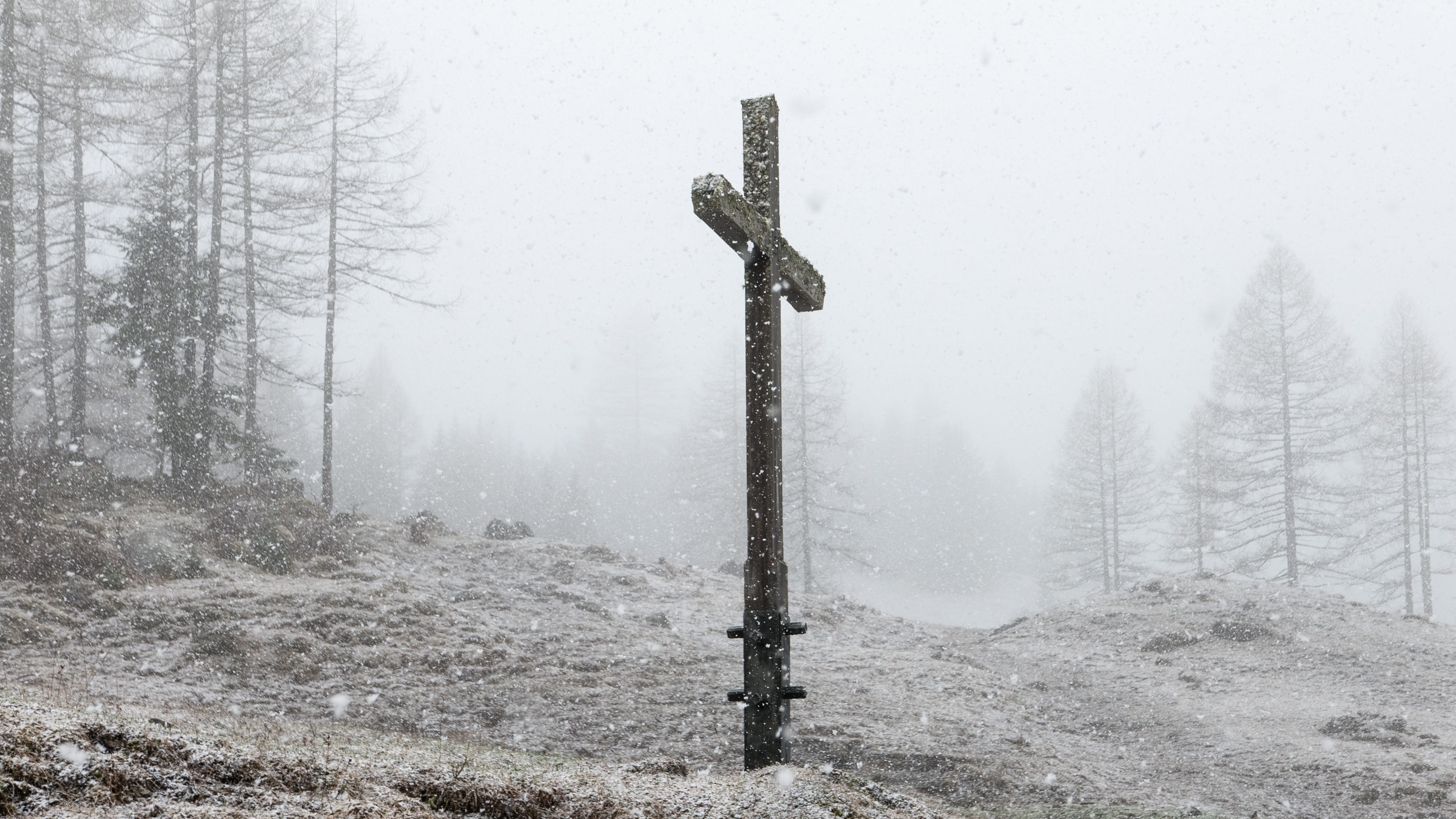 blizzard, alm, coniferous tree, Winter, land, woodland, landscape, day, pine woodland, tranquility, Cross, non-urban scene, Wintry, Snow, plant, austria, HD Wallpaper