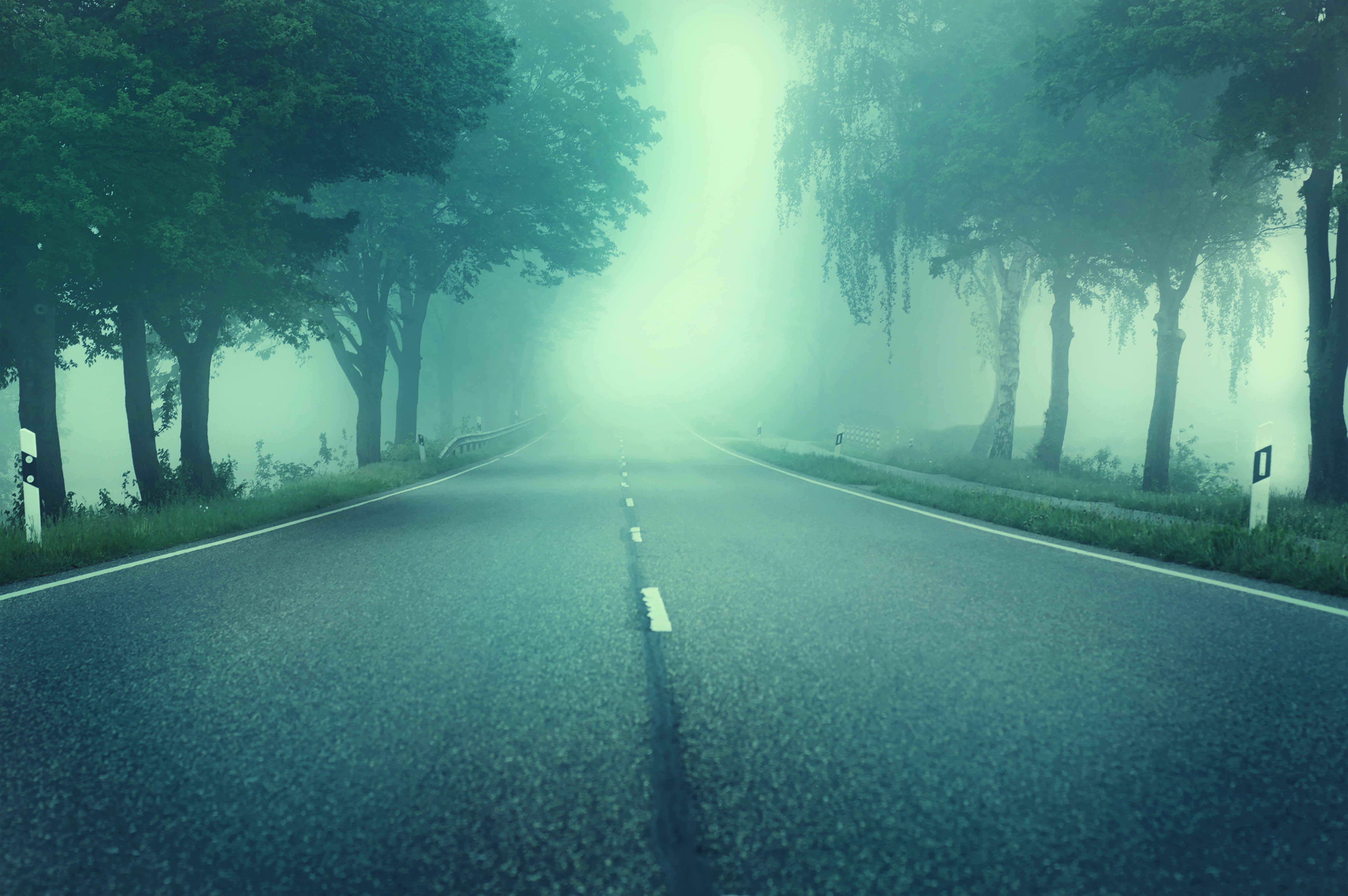vanishing point, outdoors, nature, diminishing perspective, road, the way forward, opaque, atmosphere, deciduous trees, street, milky, lighting, road marking, HD Wallpaper