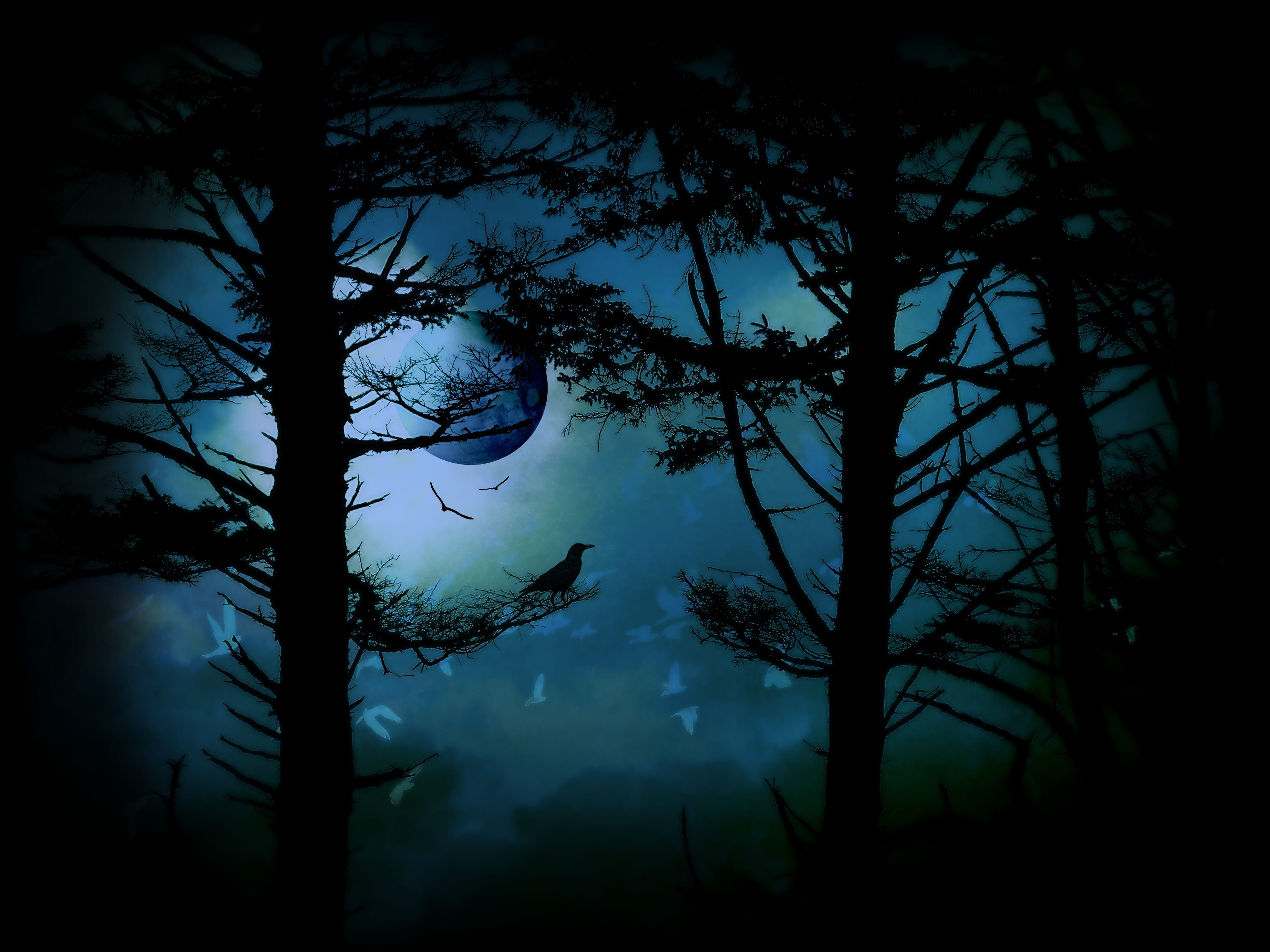 branch, forest, spooky, tranquil scene, twilight, land, moon, trees, photo, woodland, scene, blue, animals in the wild, scenics - nature, creepy, tranquility, HD Wallpaper