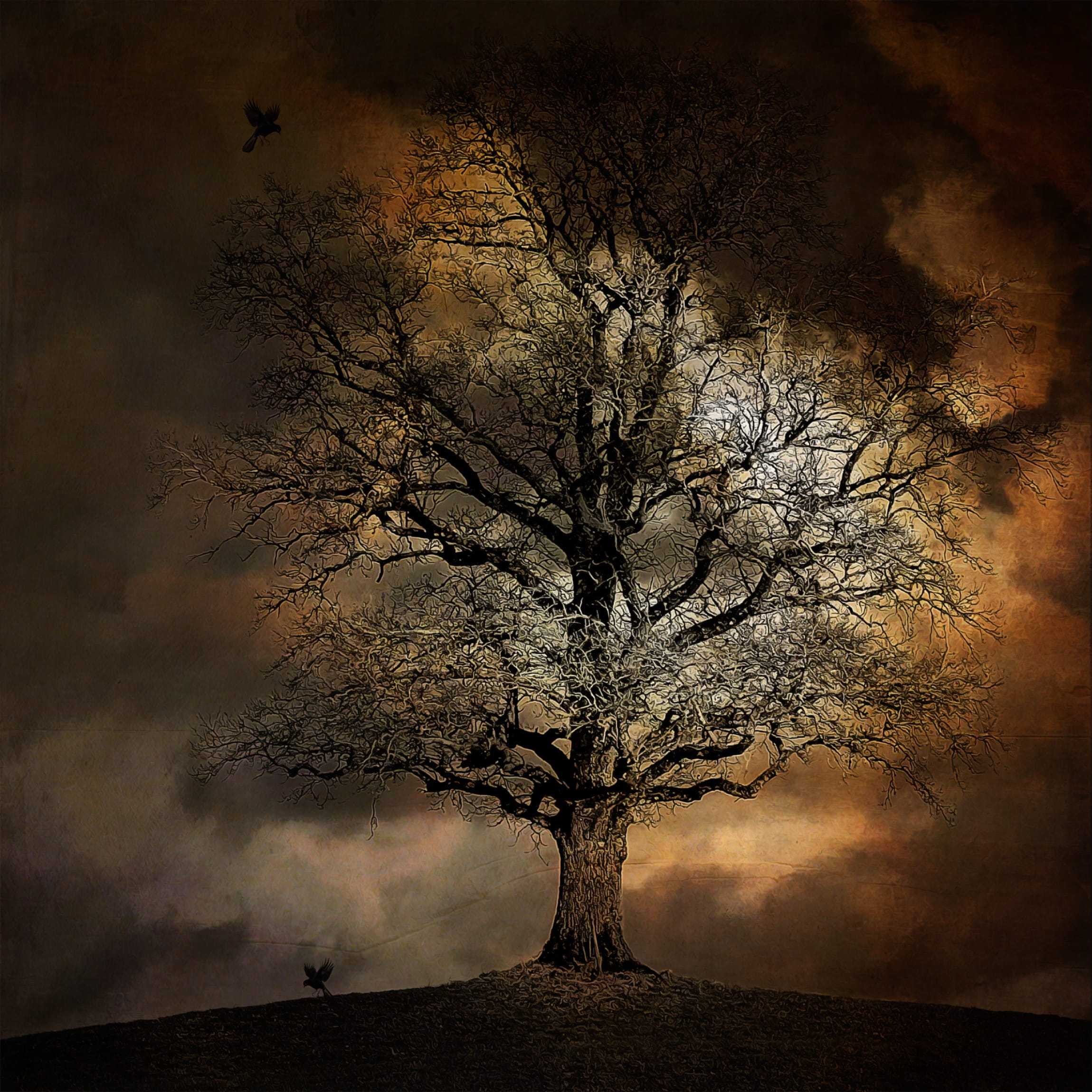 painting, bare tree, tree, 1080P, sunset, tranquility, cloudscape, fog, moon, two, spooky, crow, night, digital painting, illustration, no People, single tree, Phone HD Wallpaper