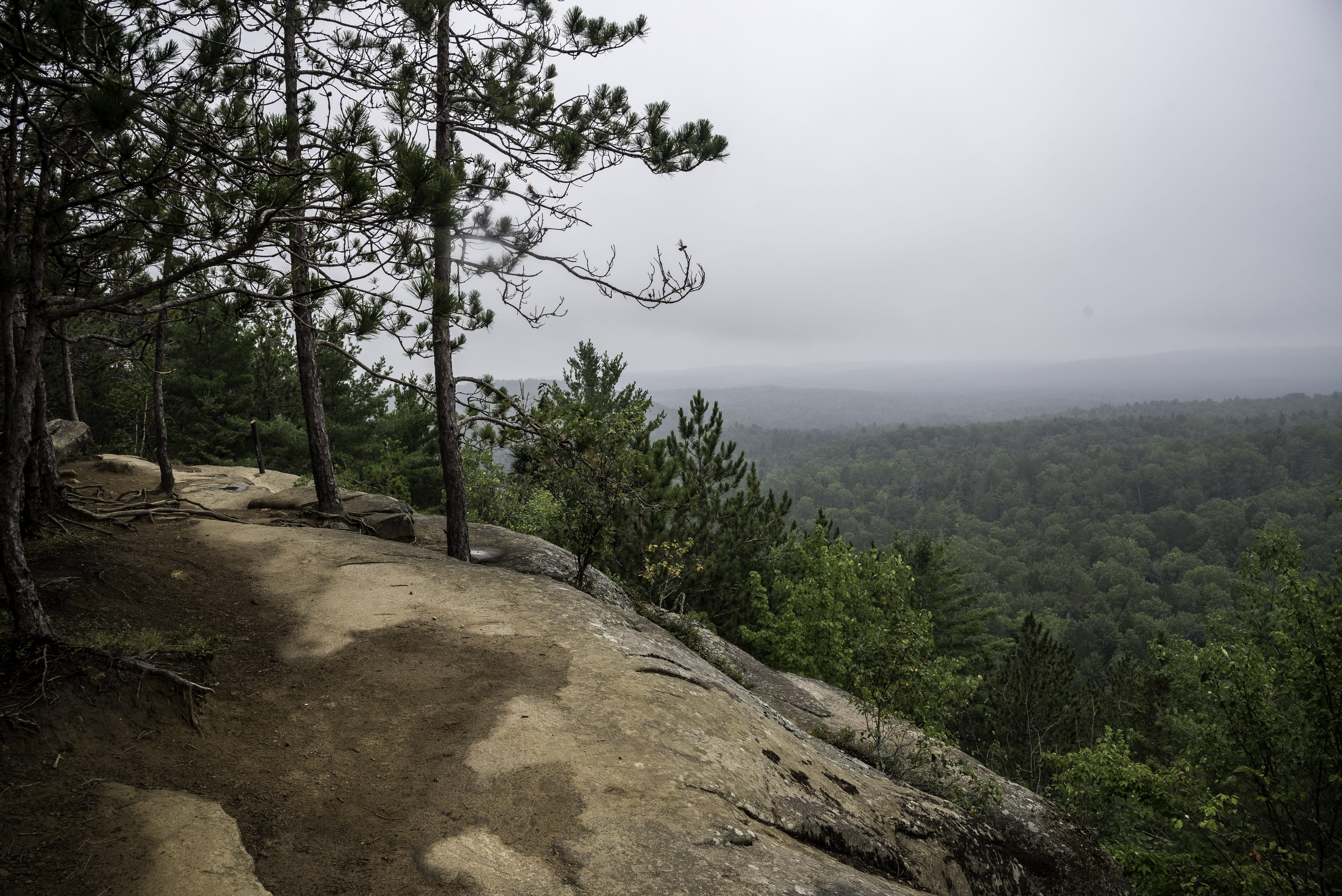 growth, nature, non-urban scene, canada, landscape, environment, fog, tree, outdoors, Overlook, Bluff, Algonquin Provincial Park, plant, land, 5K, park, HD Wallpaper