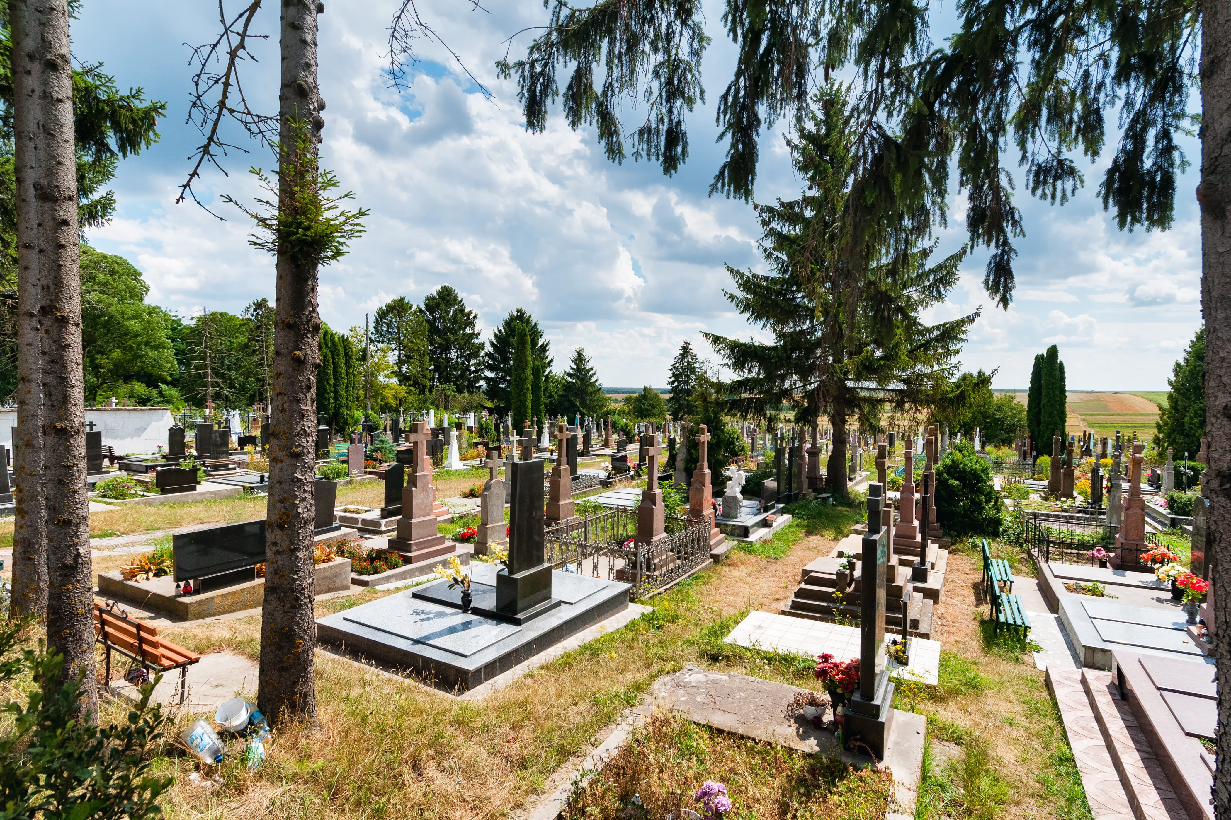 plant, architecture And Buildings, sky, cemetery, тернопіль, bus, tree, day, headstone, 4K, cloud - sky, no People, grave, Cemetery, sun, Religion, architecture, HD Wallpaper