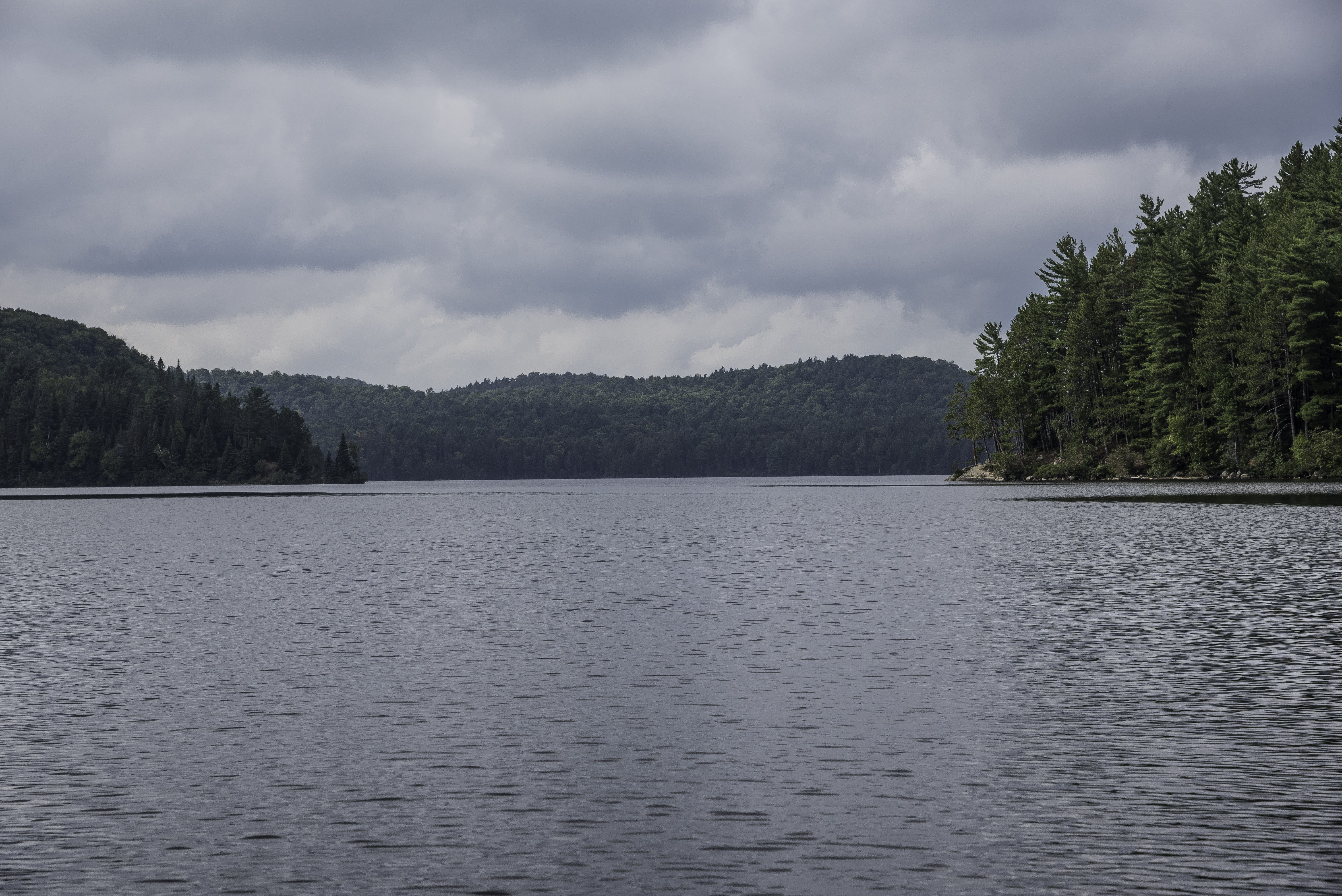 non-urban scene, nature, tranquil scene, canada, idyllic, park, tree, coniferous tree, view into land, scenics, public domain, color Image, landscapes, HD Wallpaper