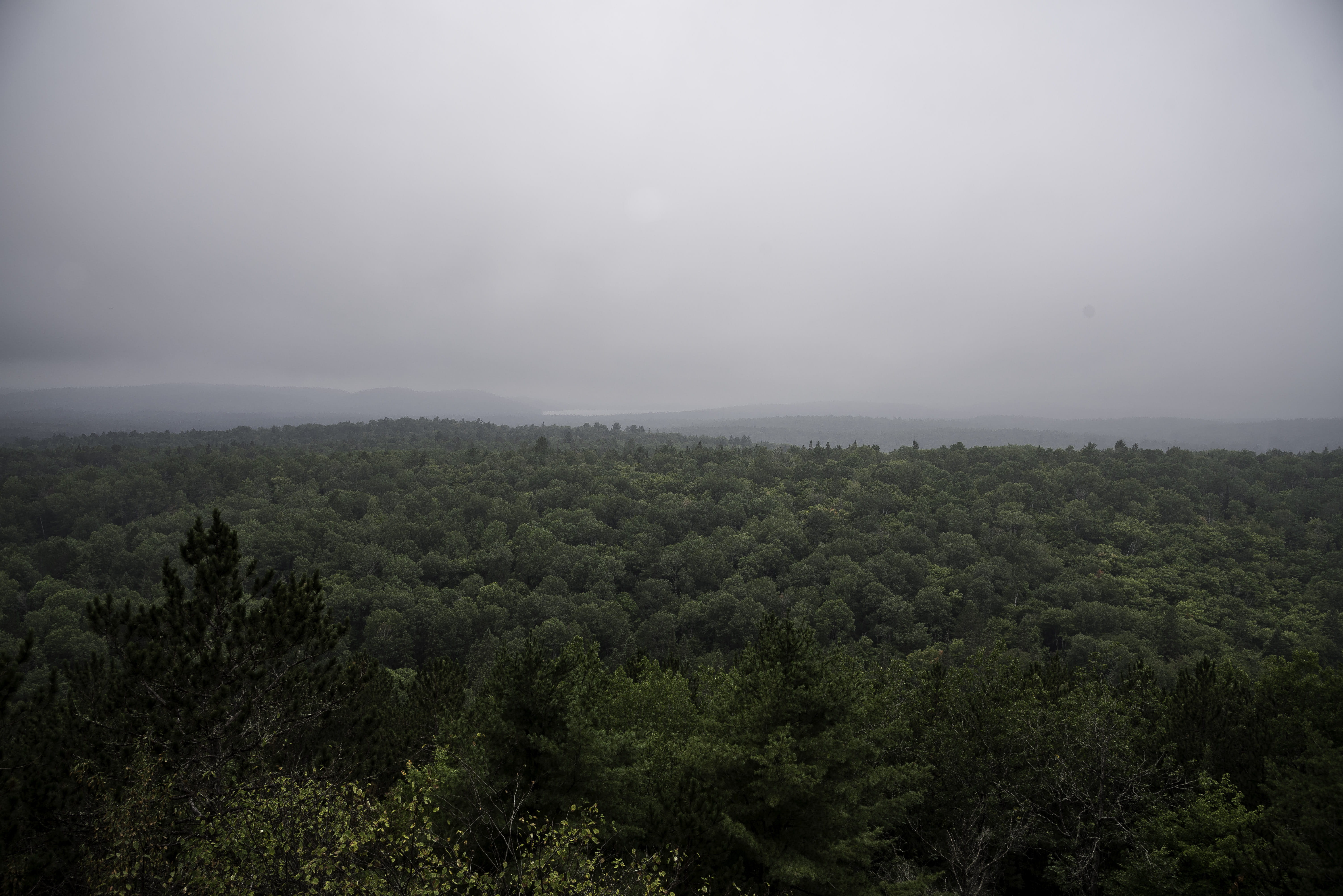 green color, cloud - sky, foggy, non-urban scene, park, weather, 5K, plant, provincial, woodland, scenics, photos, growth, mountain, tranquility, fog, HD Wallpaper