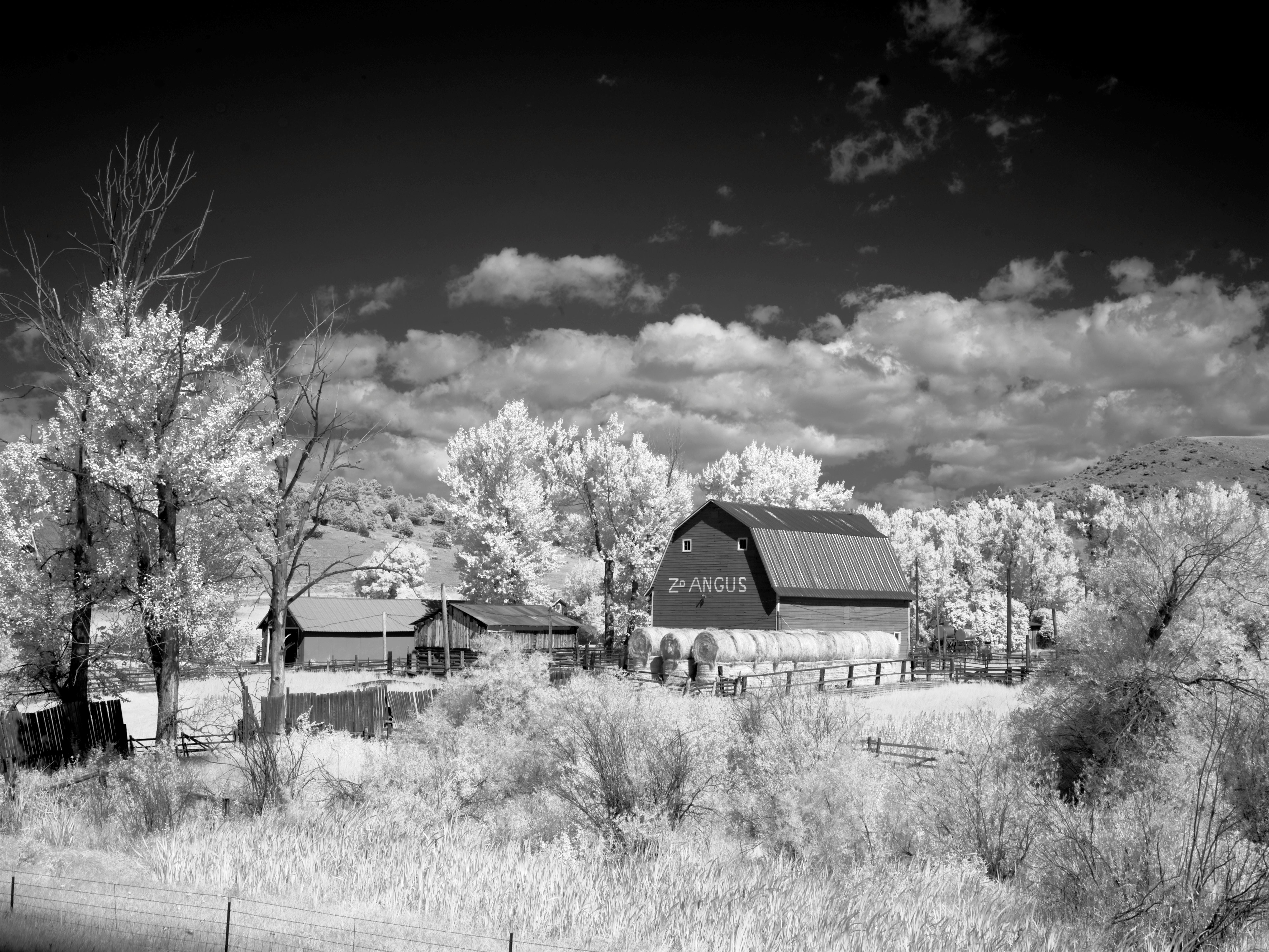built structure, land, no people, Barn, plant, infra red, landscape, America, house, sw, 5K, united states, Montana, agriculture, tree, meadow, outdoors, HD Wallpaper