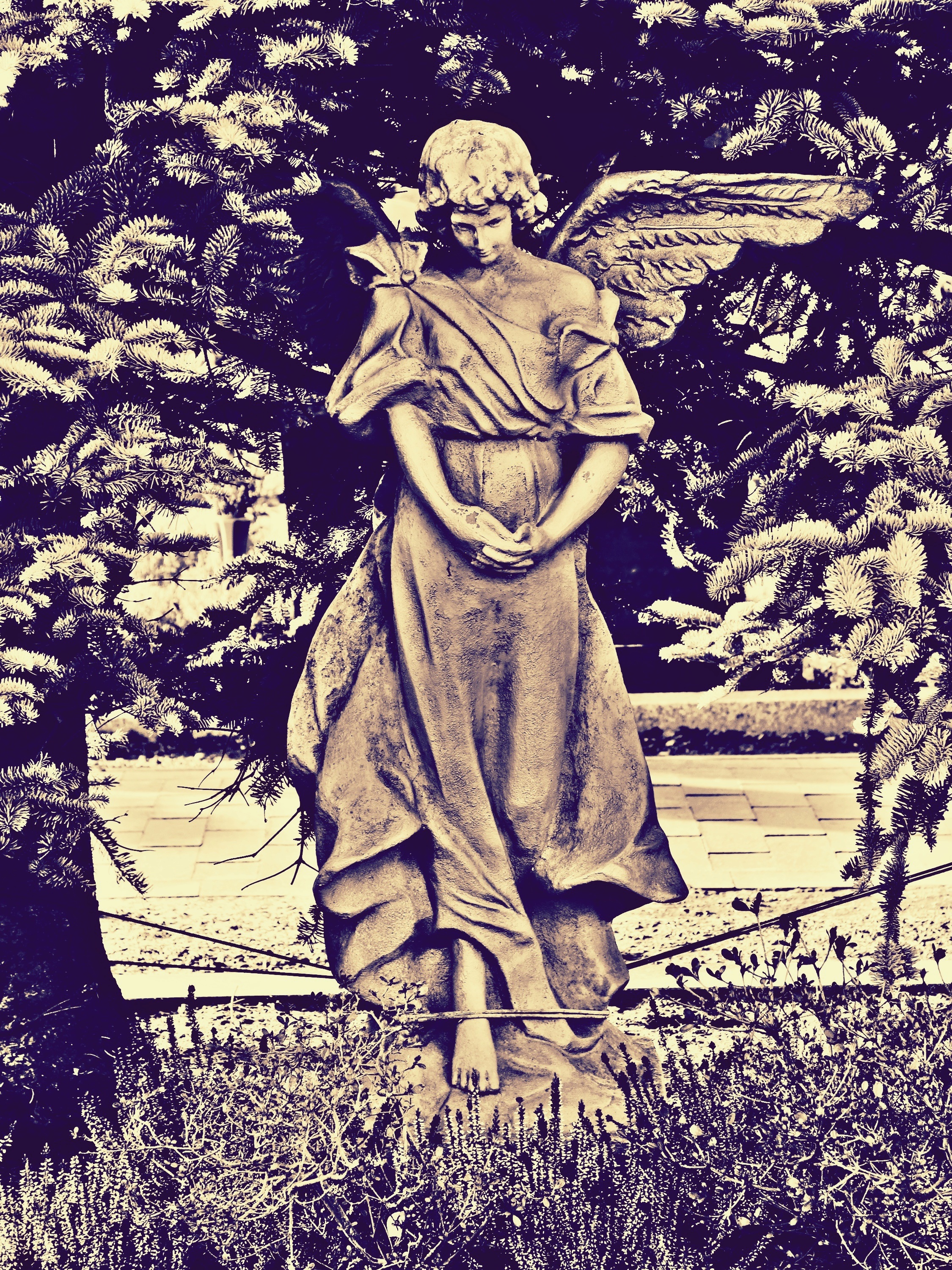 isolated, male likeness, sculpture, people, catholic, print, nature, isolated On White, grave, victorian Style, auto post production filter, antique, leaf, Phone HD Wallpaper