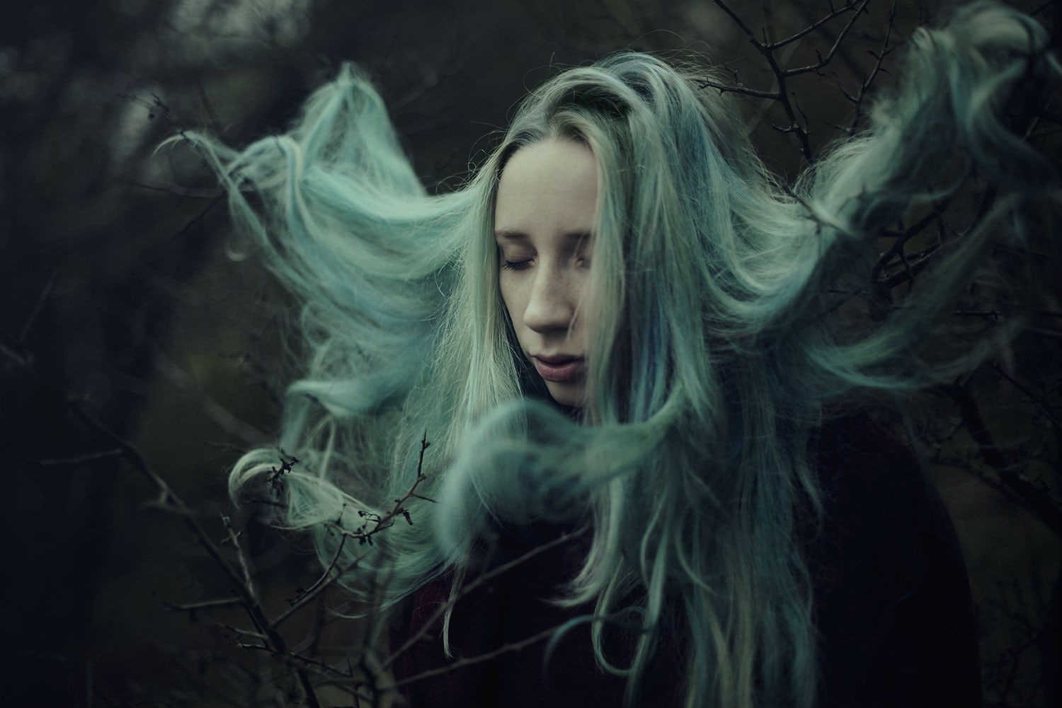woodland, headshot, mystery, long hair, women, fantasy art, portrait, young adult, beauty, sadness, teenager, forest, hairstyle, one person, spooky, young women, HD Wallpaper