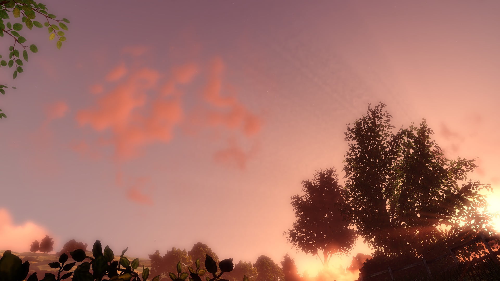 BioShock Infinite: Burial at Sea, 1080P, low angle view, tranquil scene, scenics - nature, leaf, environment, non-urban scene, clouds, sun rays, green, HD Wallpaper