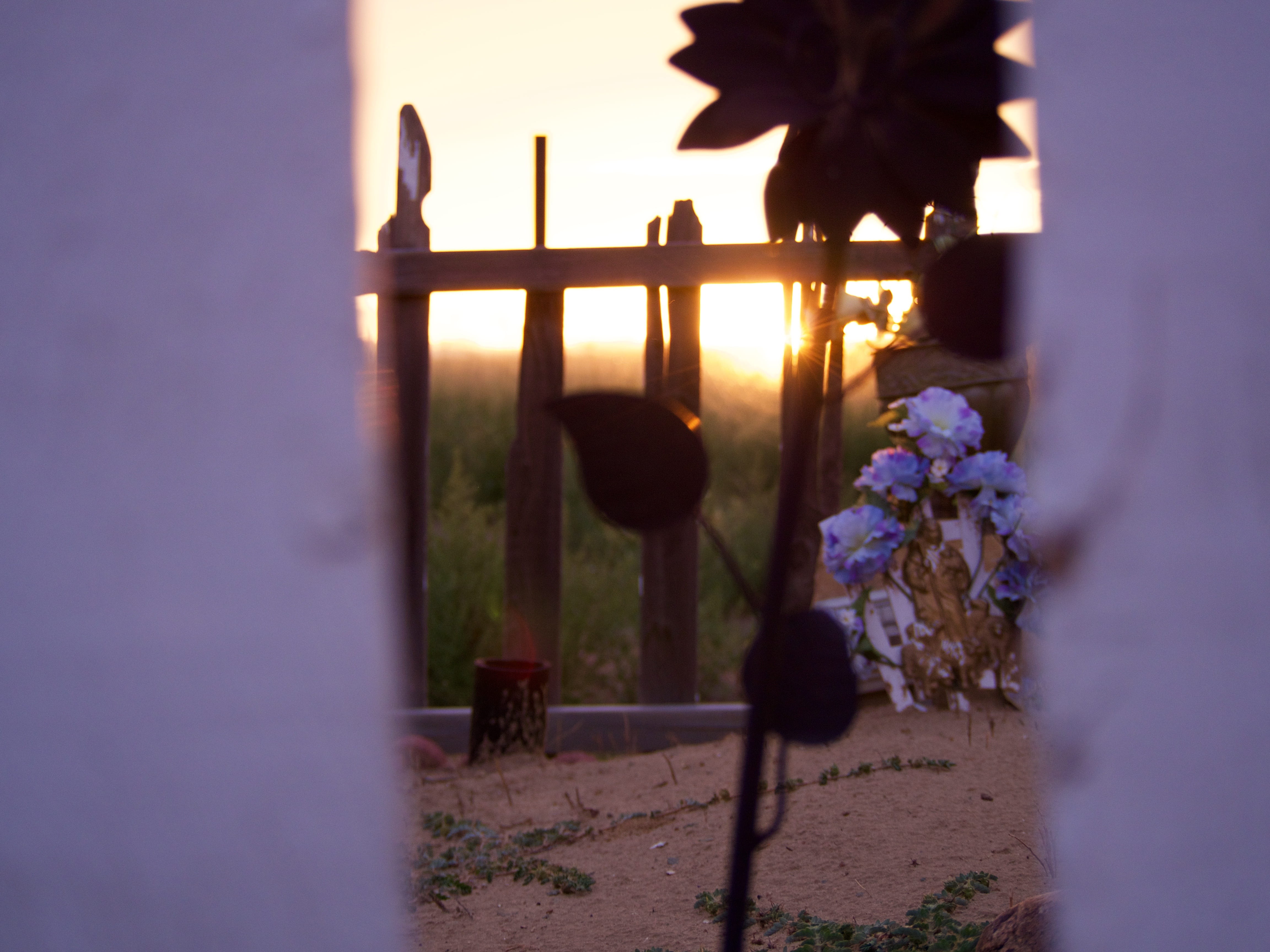 grass, no people, plant, desert, white, flower, beauty in nature, gravesite, sky, growth, day, flowering plant, picket, selective focus, sunset, fragility, HD Wallpaper