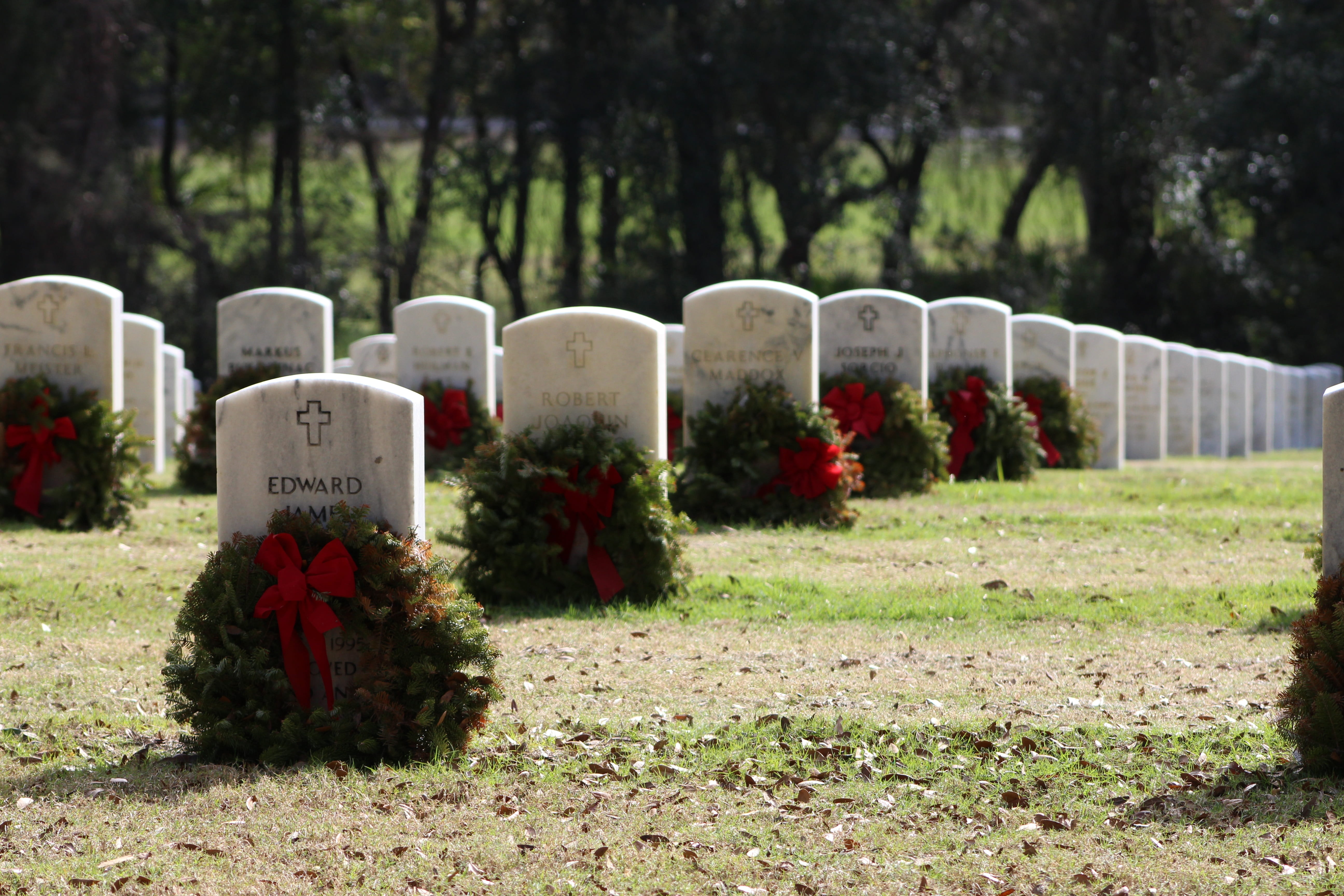 gravestone, white, outdoors, text, sadness, plant, communication, tree, 5K, graveyard, grass, grave, nature, emotion, stone, concrete, daytime, in a row, HD Wallpaper