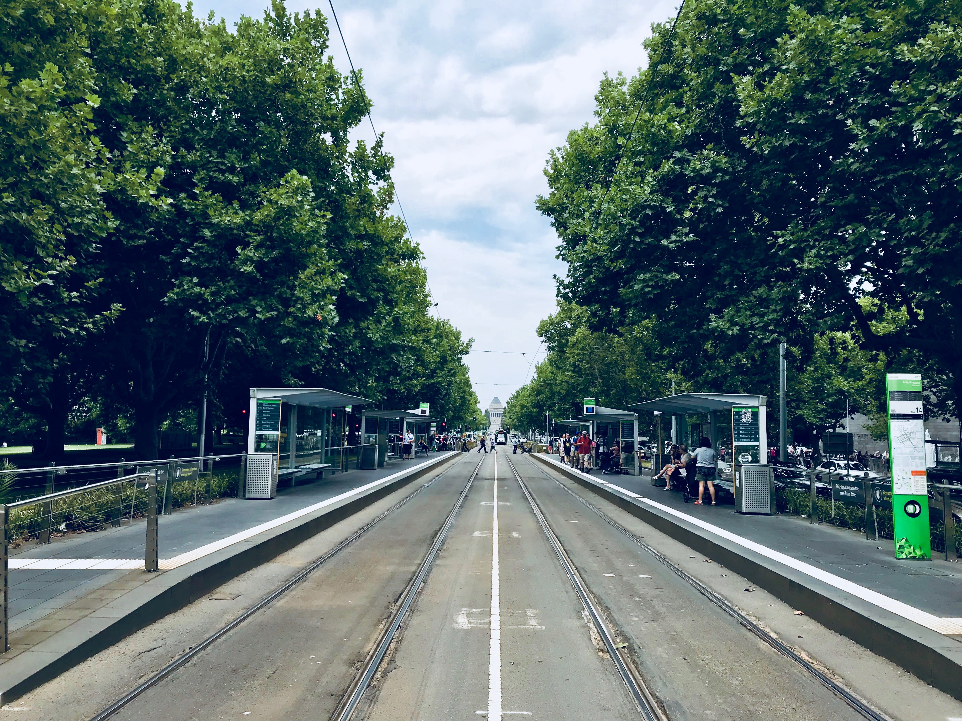 australia, day, vanishing point, arts precinct/st kilda rd, melbourne, long, incidental people, tree, diminishing perspective, direction, built structure, HD Wallpaper