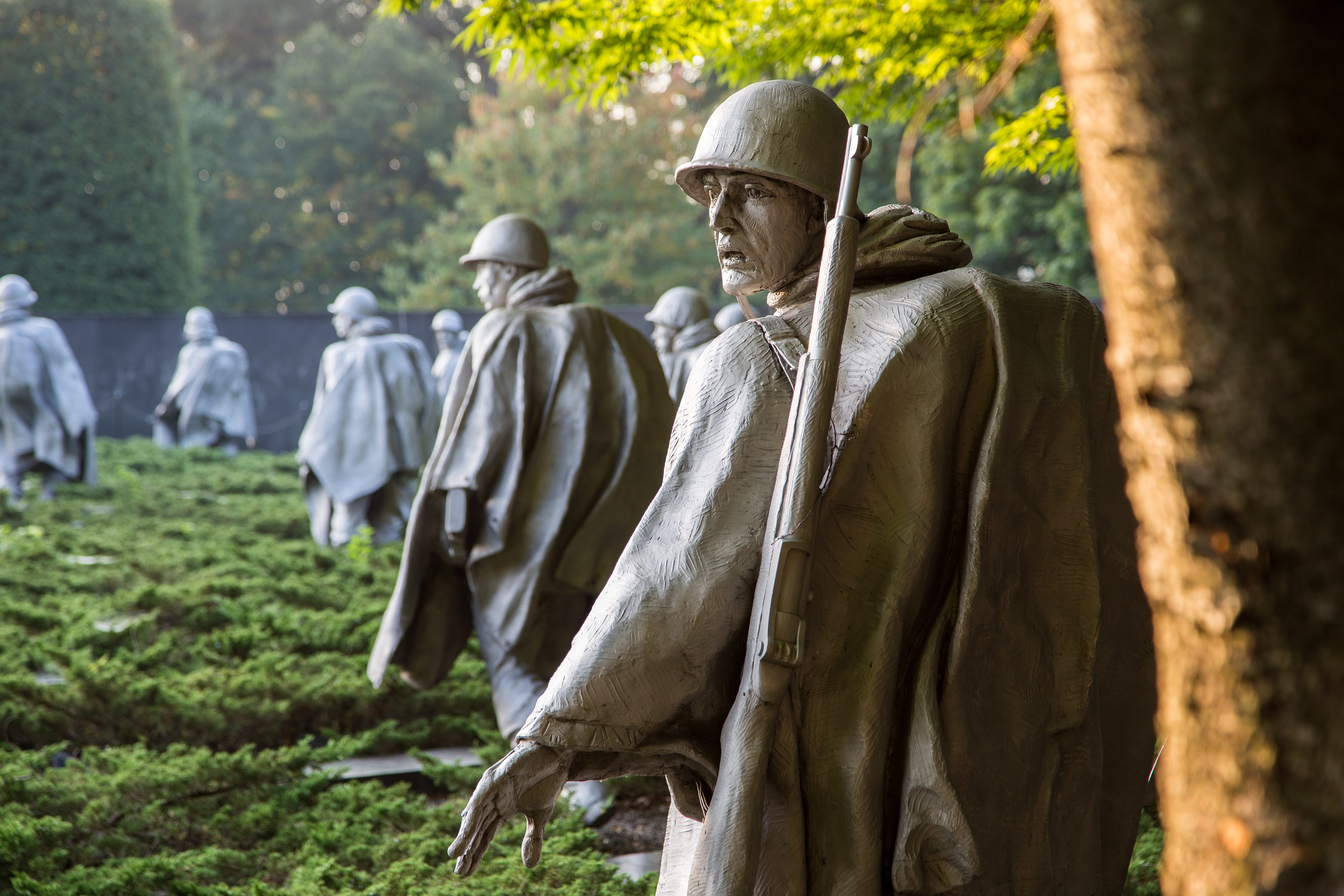 nature, 5K, army, korean, representation, human representation, statues, tree, soldiers, dc, Washington Dc, rear view, day, national mall, sculpture, travel, HD Wallpaper