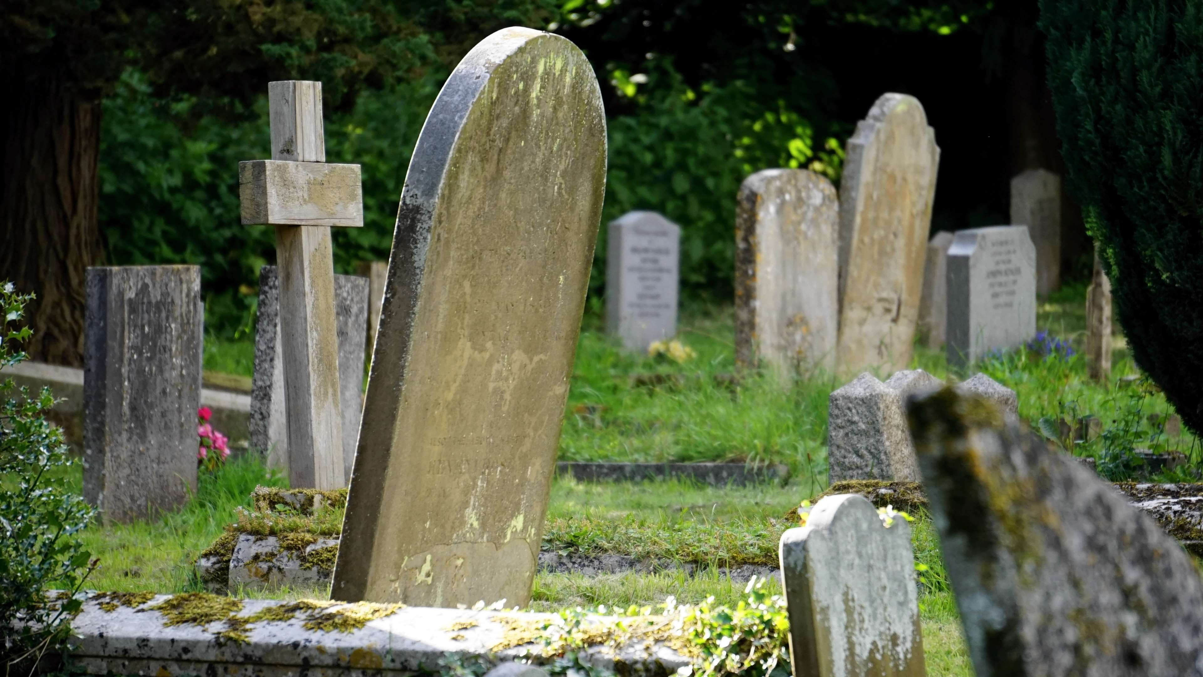 emotion, outdoors, solid, 4K, wood - material, tomb, stones, trees, cemetery, history, sadness, tombstones, memorial, stone material, remembrance, burial, HD Wallpaper