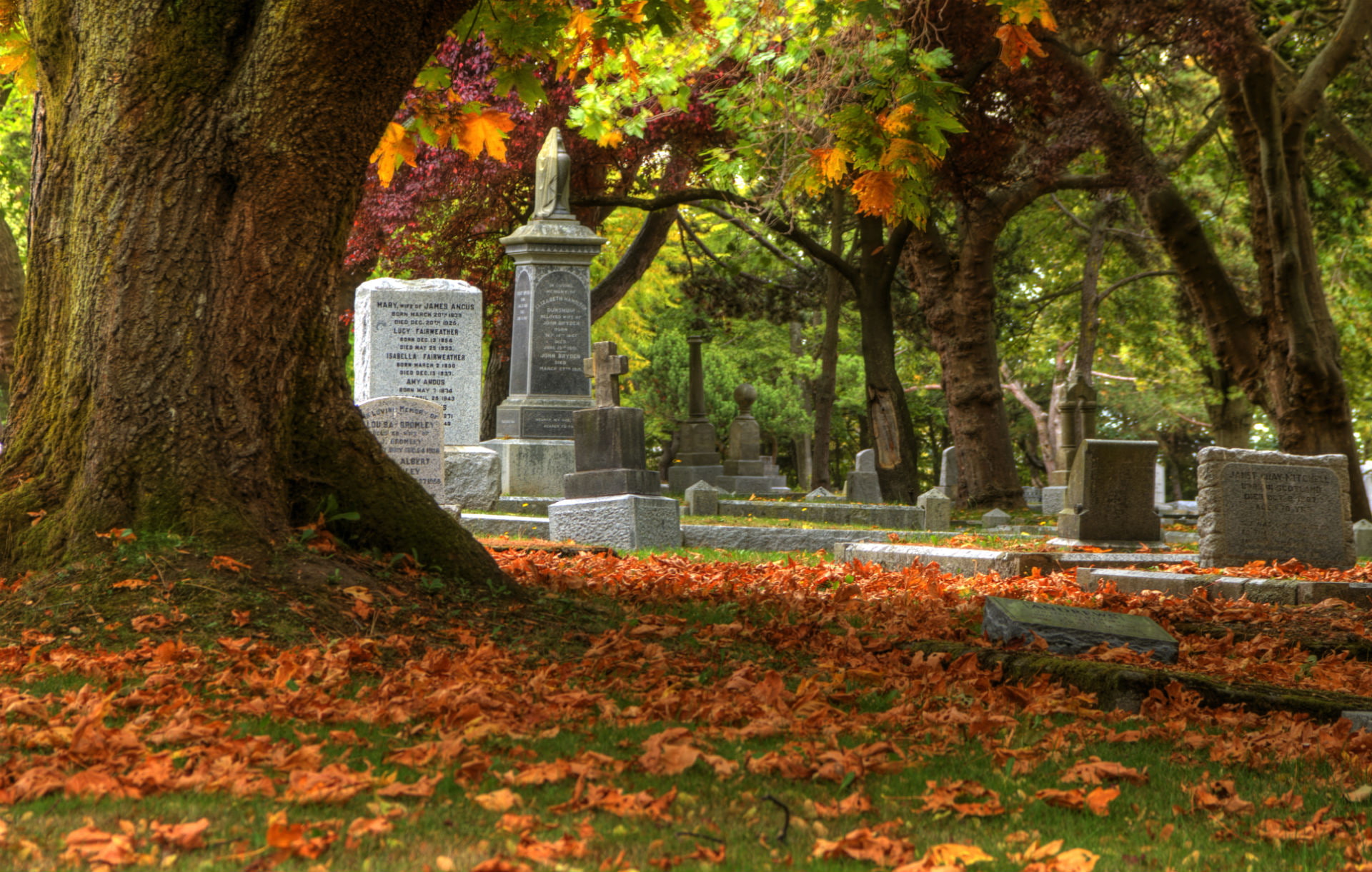 leaves, headstone, gothic, 1080P, fall, autumn, grave, trees, cemetery, HD Wallpaper