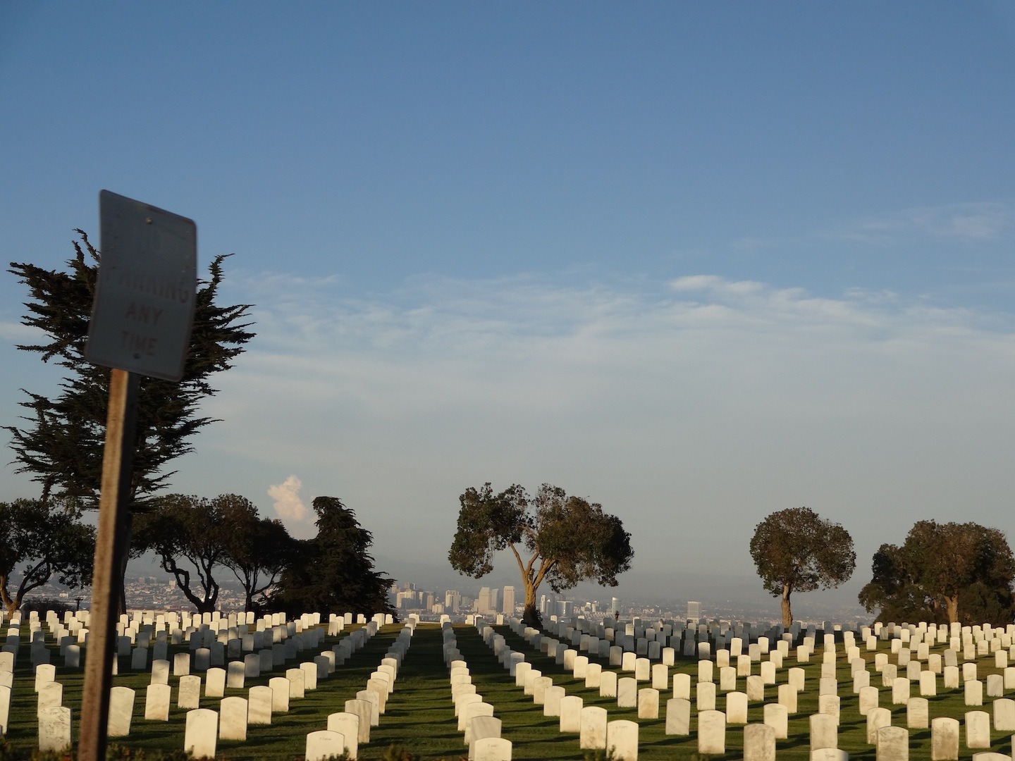 plant, san diego, war memorial, fort rosecrans, vista, coast, california, ocean, sky, grave, tombstone, graves, cemetery, tranquility, headstones, burial, HD Wallpaper